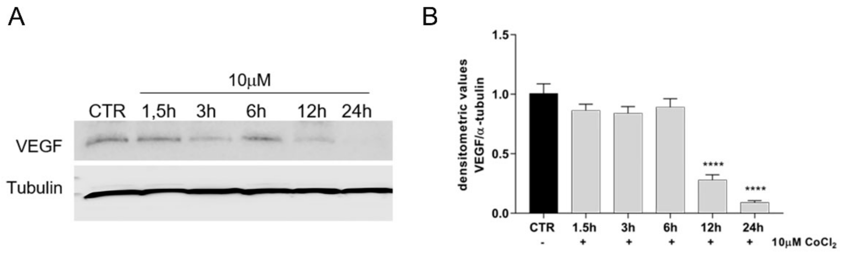 Cells 11 00461 g004 Cells 11 00461 g004