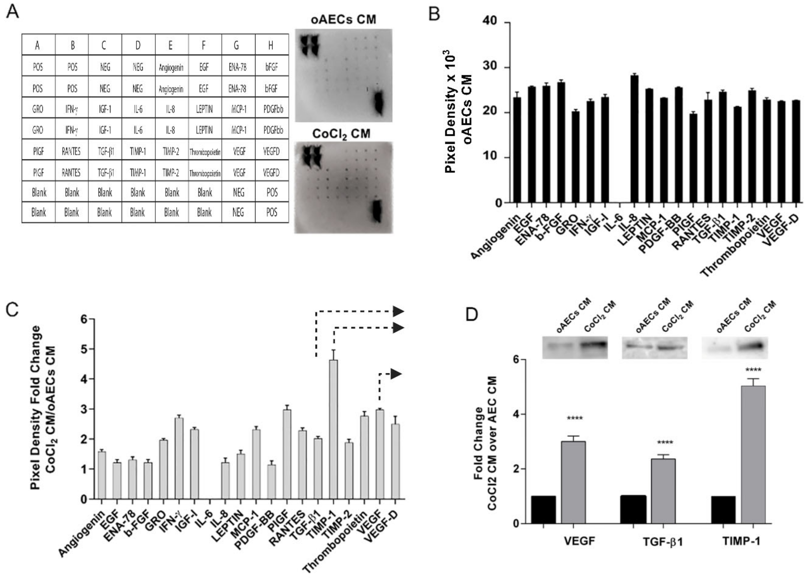 Cells 11 00461 g006 Cells 11 00461 g006