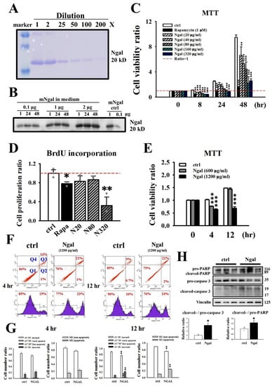 Cells 11 00483 g003 550