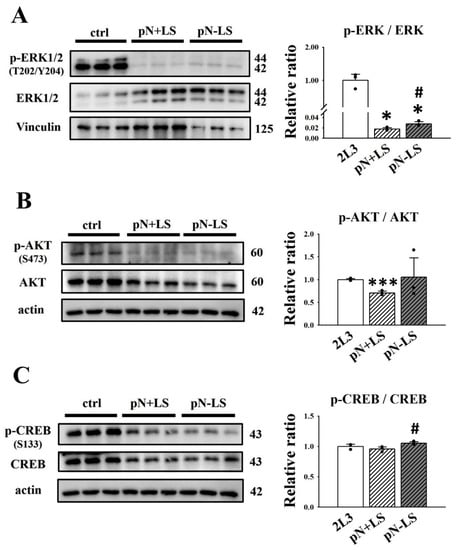 Cells 11 00483 g008 550