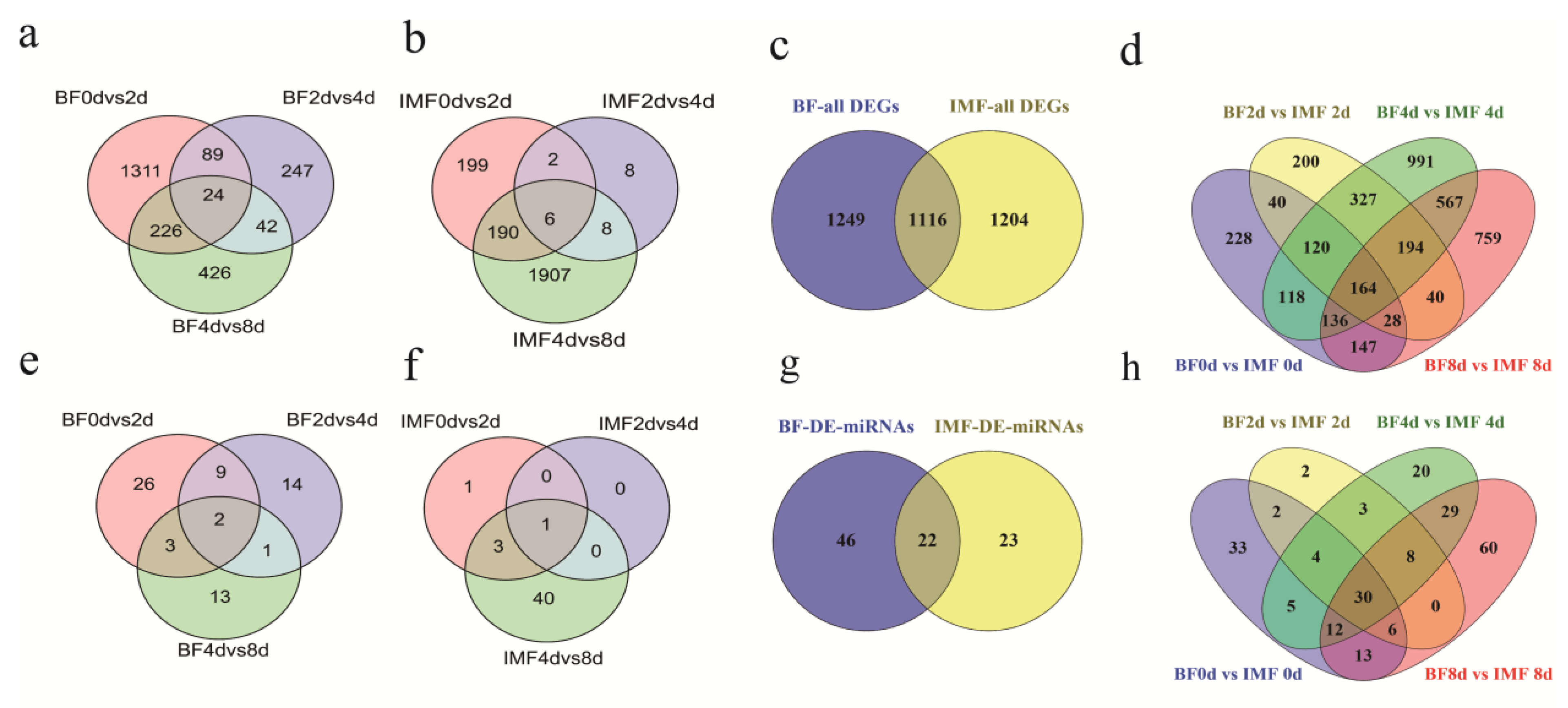 Cells 11 00499 g002 Cells 11 00499 g002