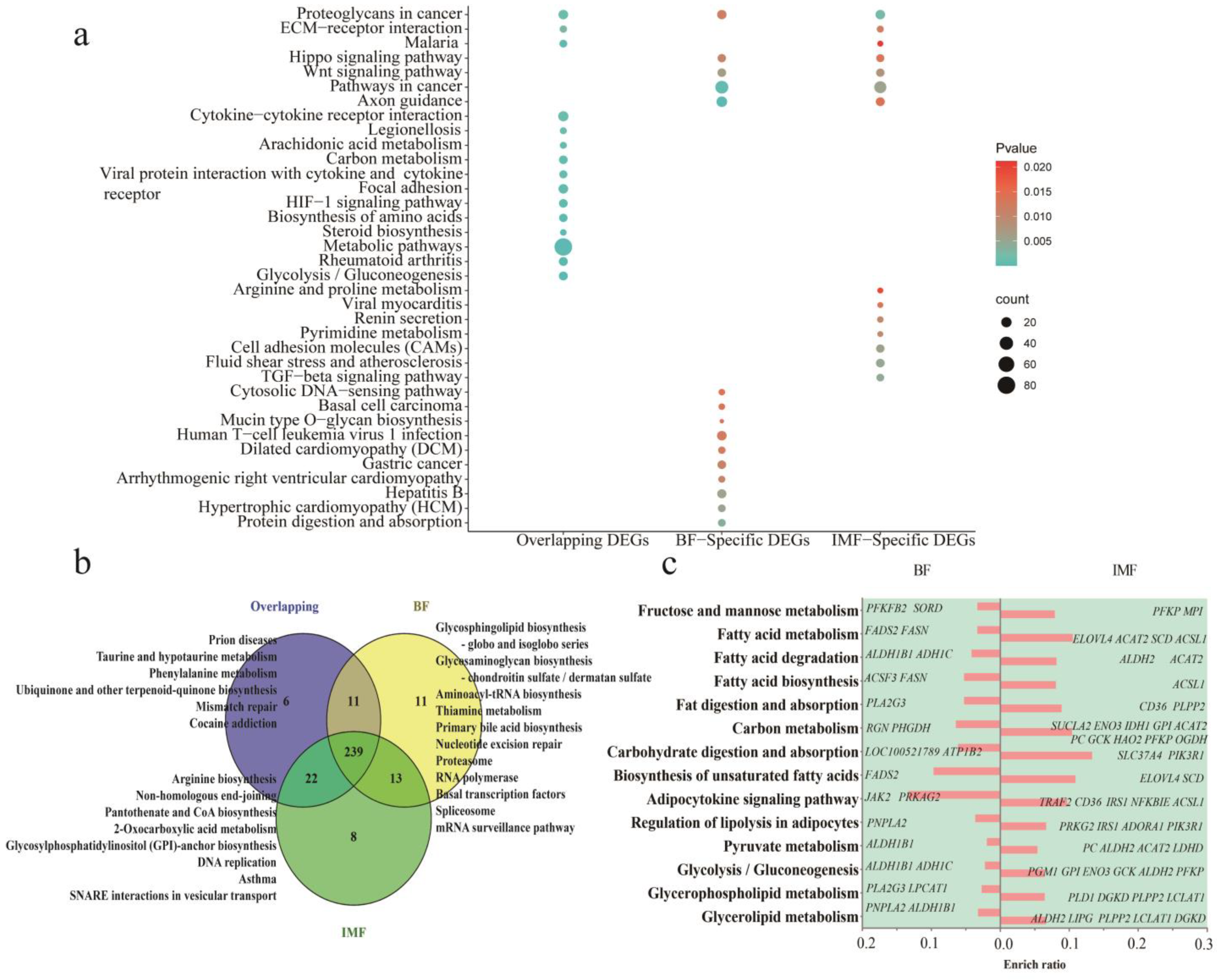Cells 11 00499 g003 Cells 11 00499 g003