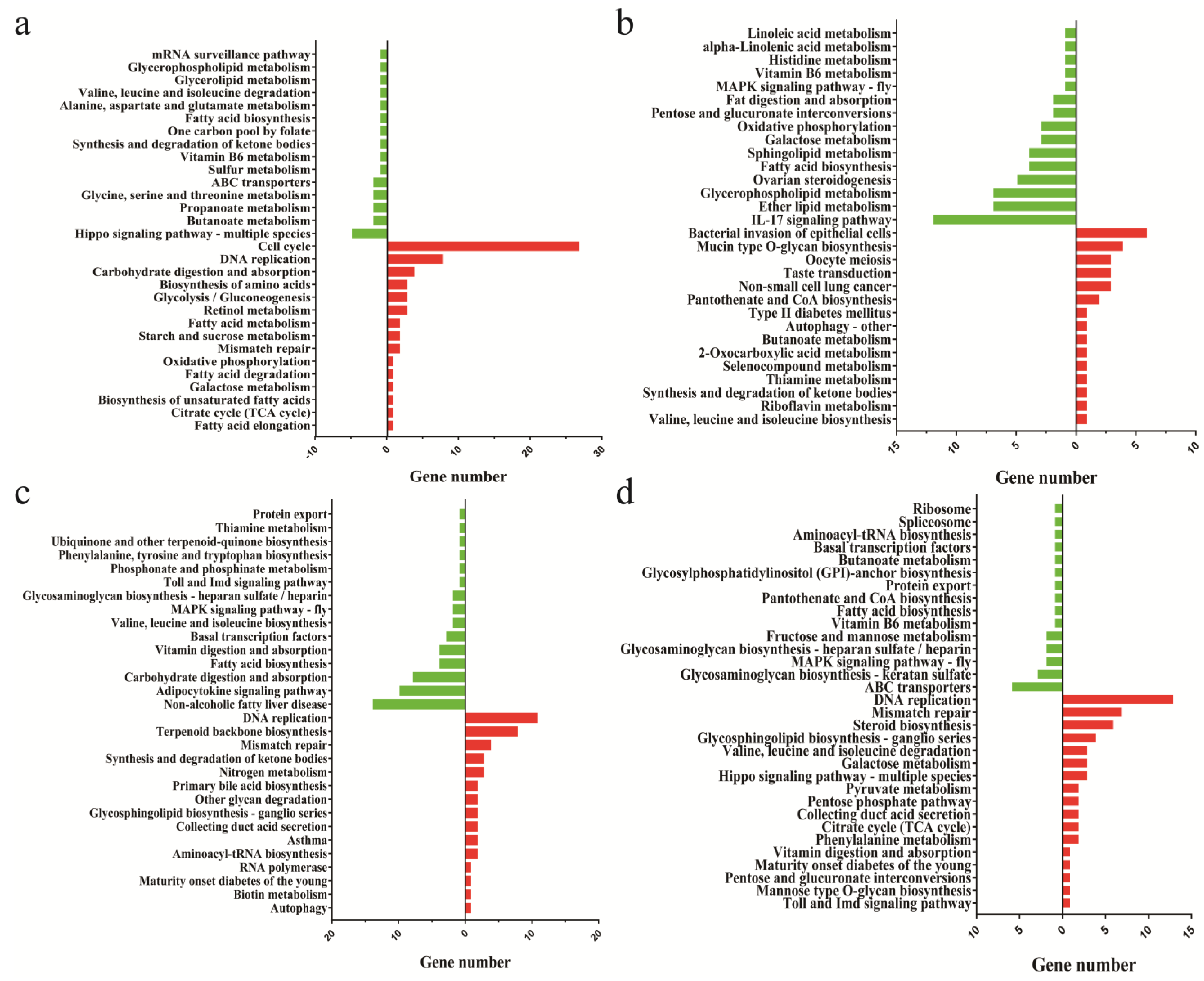 Cells 11 00499 g004 Cells 11 00499 g004