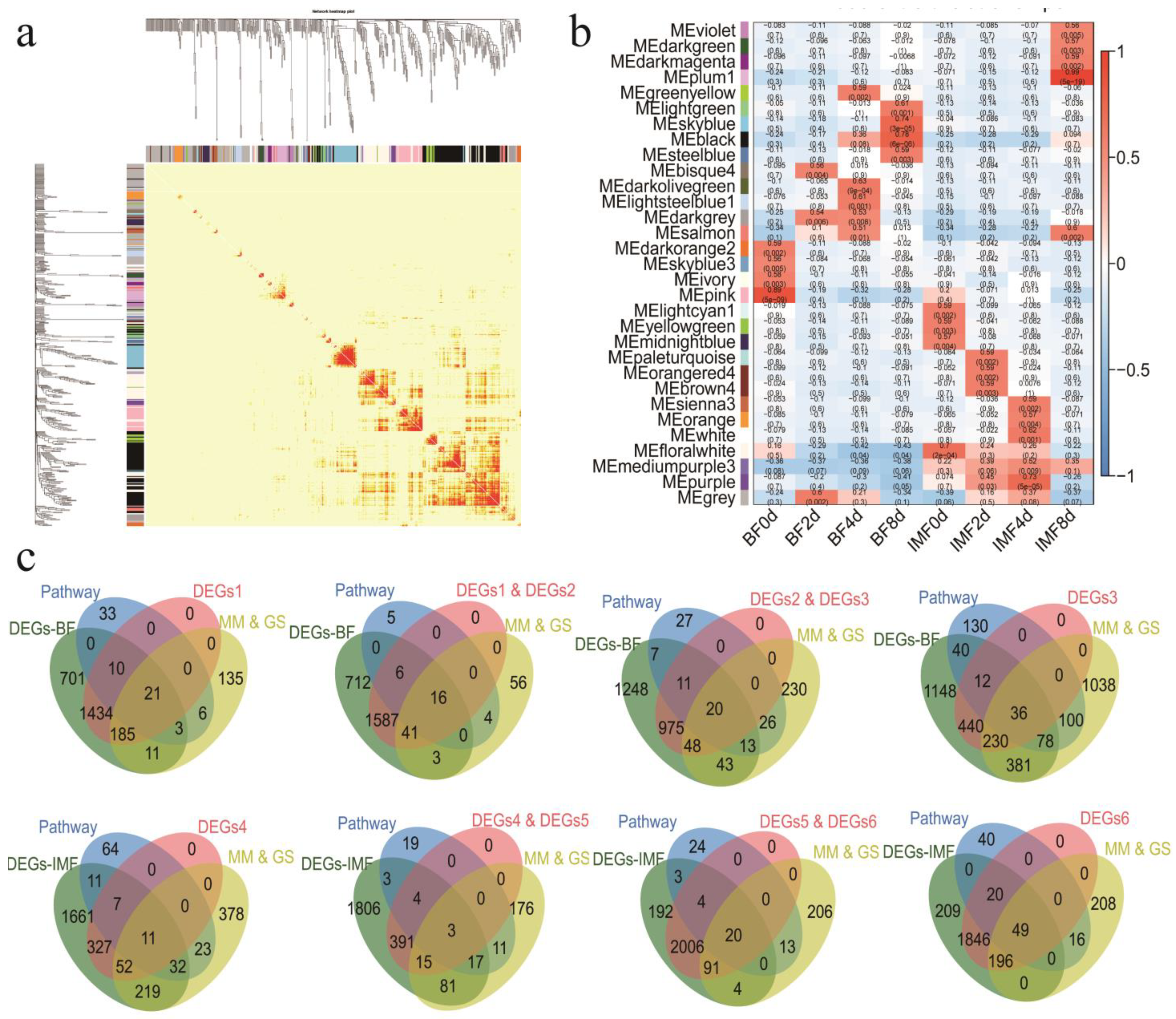 Cells 11 00499 g005 Cells 11 00499 g005
