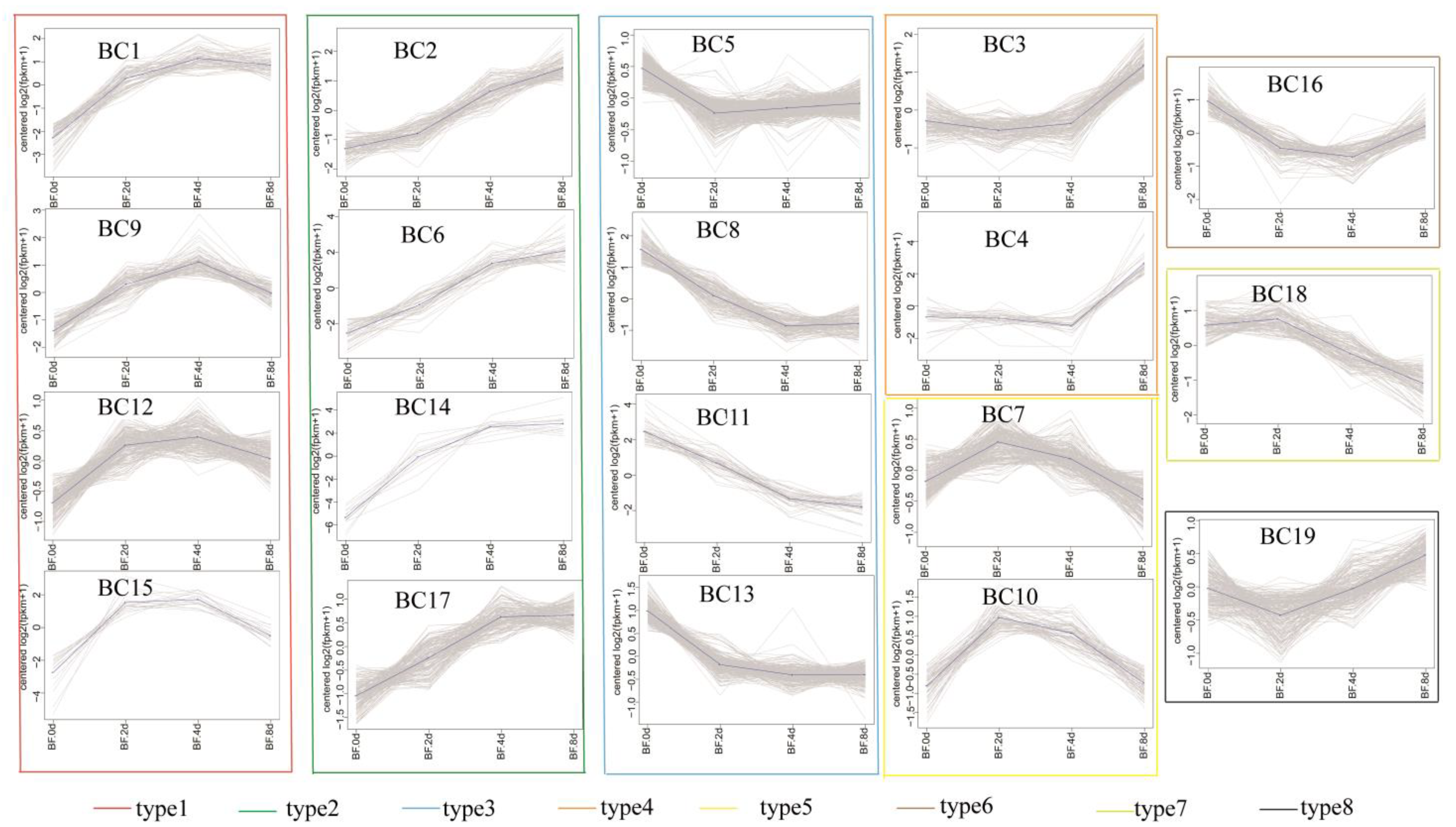 Cells 11 00499 g006 Cells 11 00499 g006