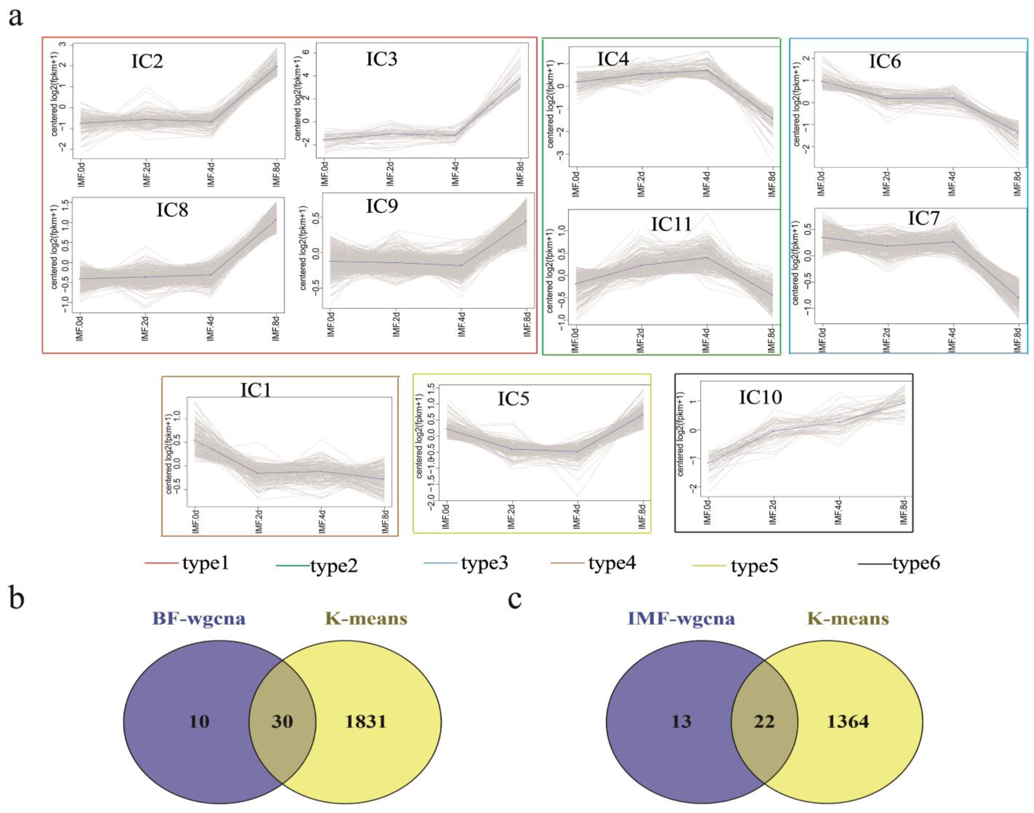 Cells 11 00499 g007 Cells 11 00499 g007