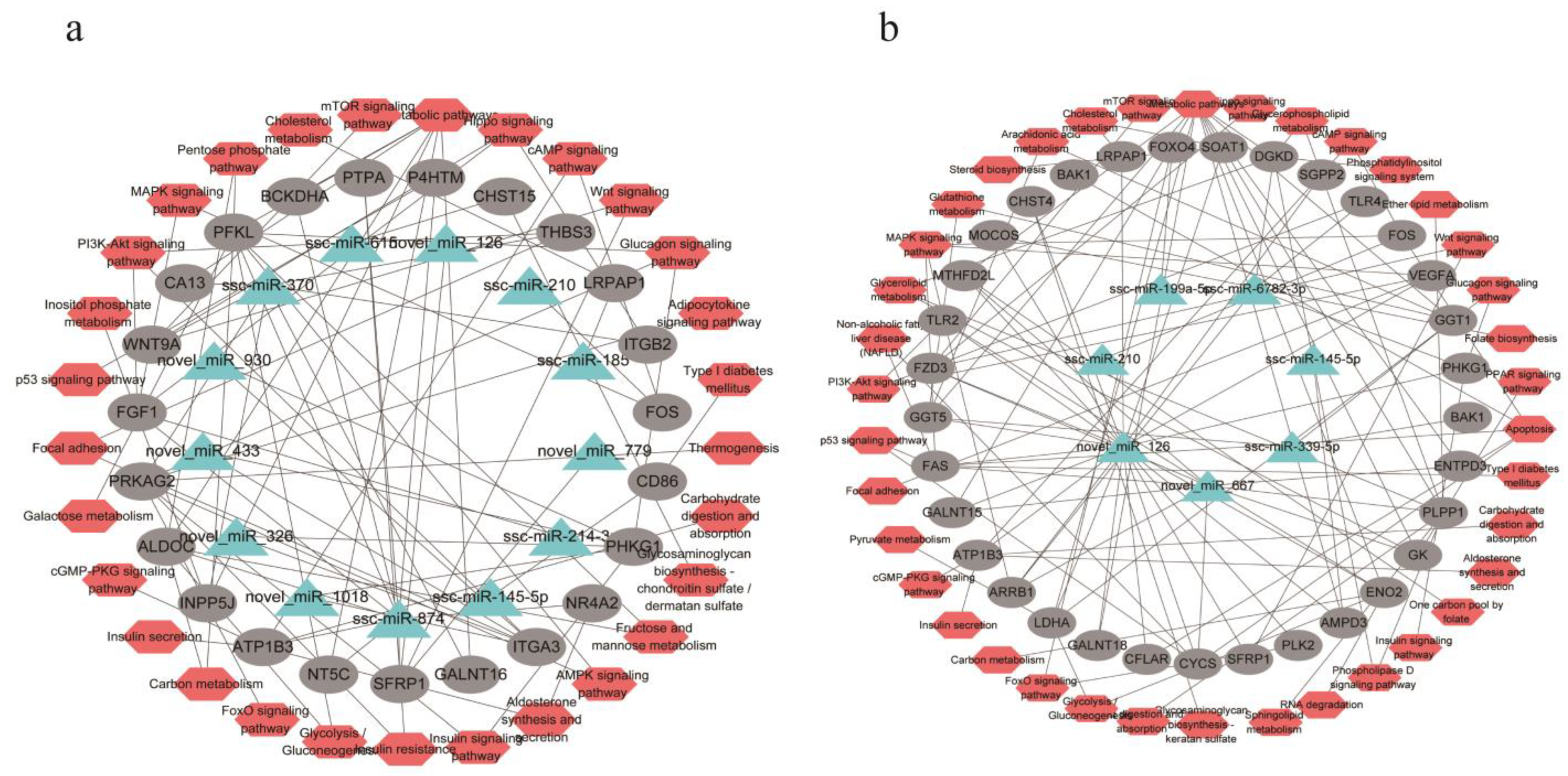 Cells 11 00499 g008 Cells 11 00499 g008