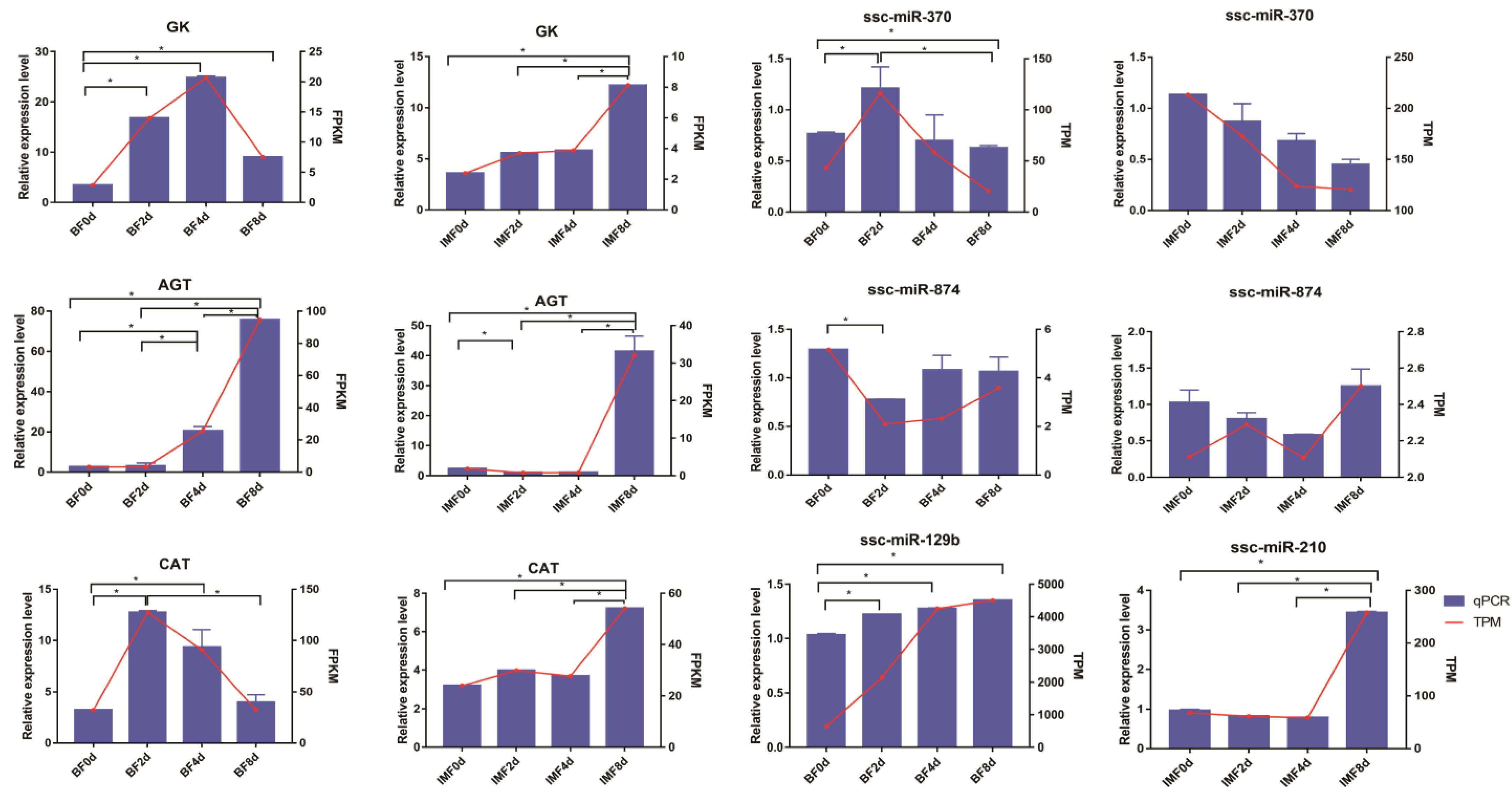 Cells 11 00499 g009 Cells 11 00499 g009