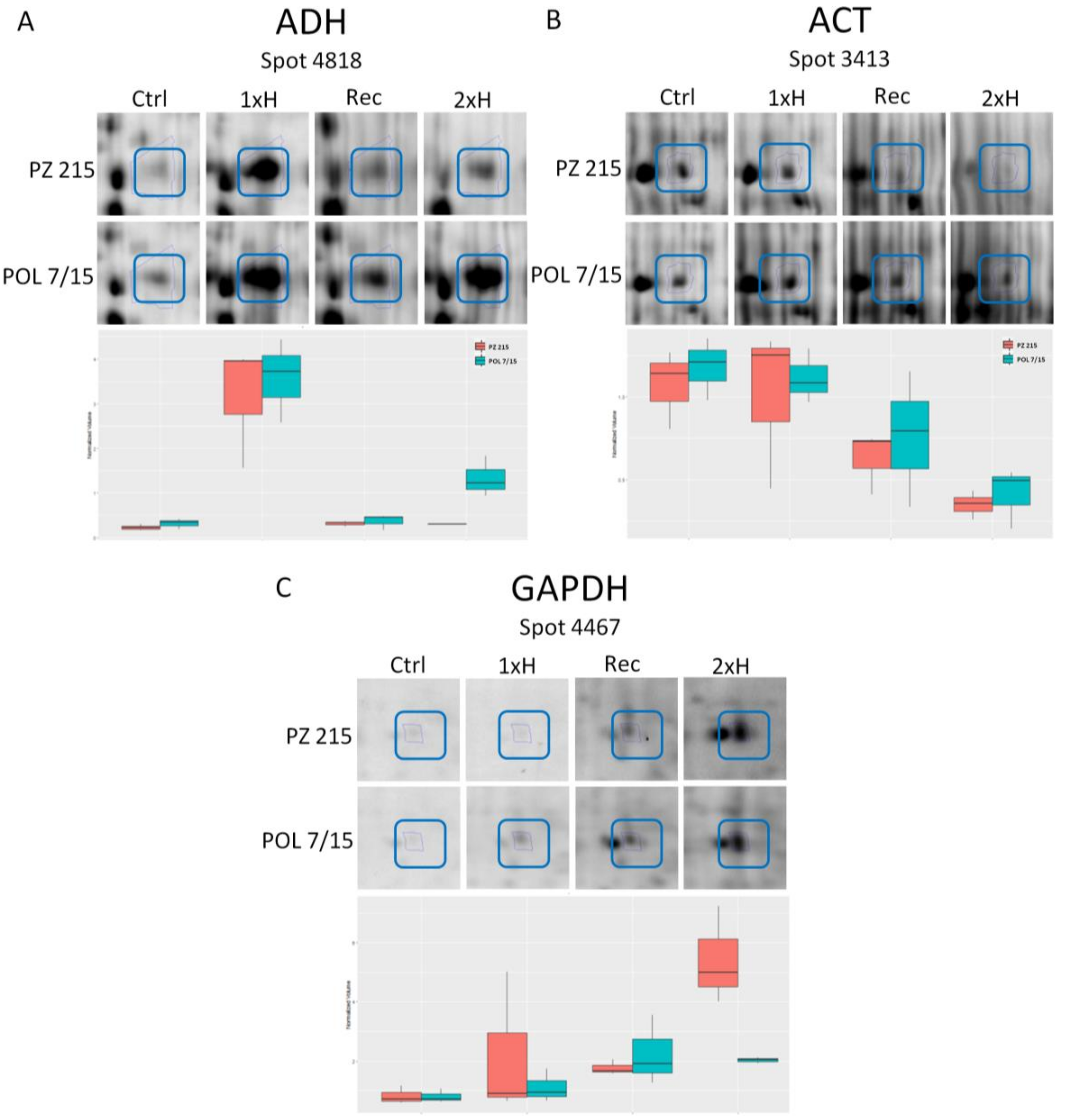 Cells 11 00500 g004 Cells 11 00500 g004