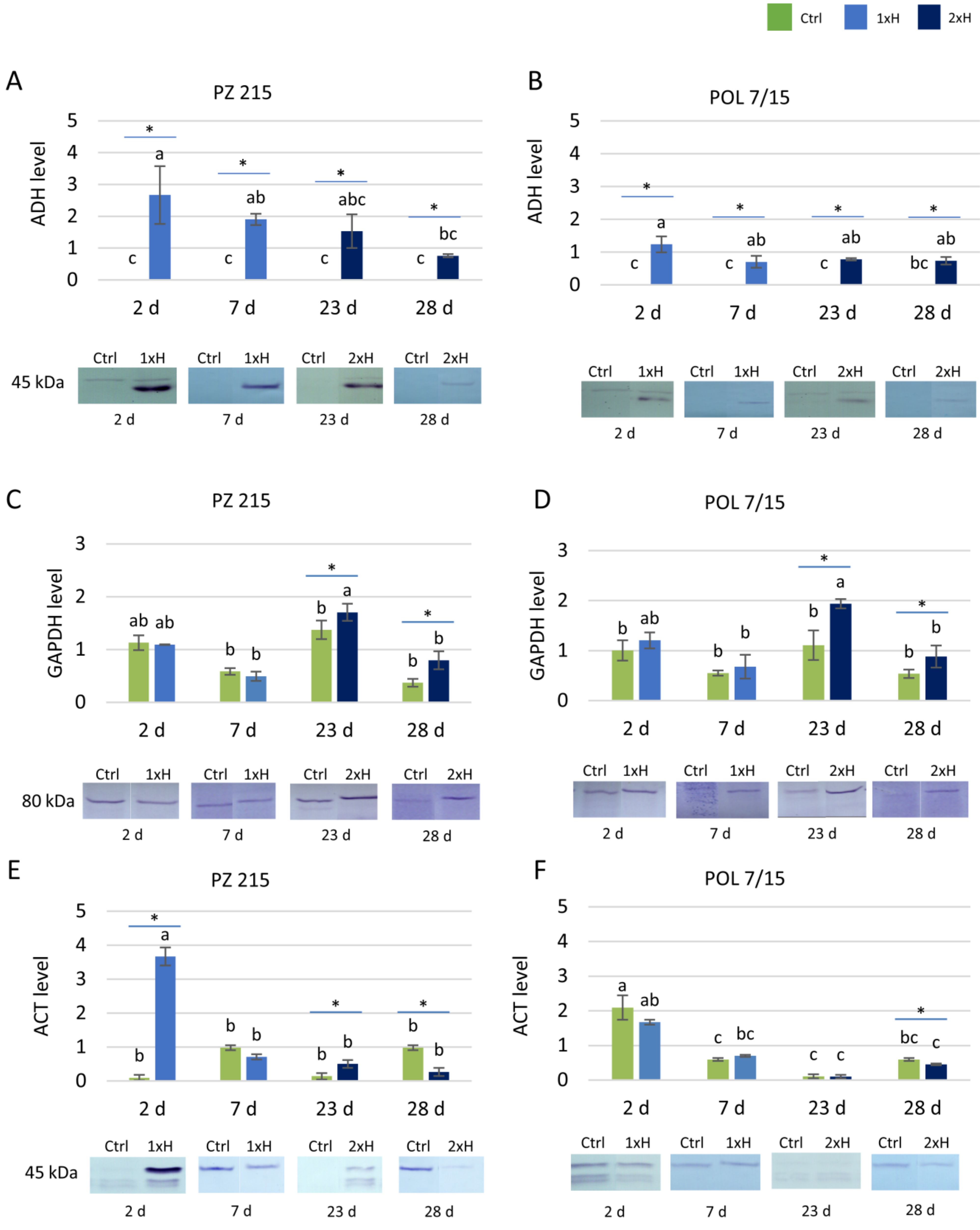 Cells 11 00500 g005 Cells 11 00500 g005