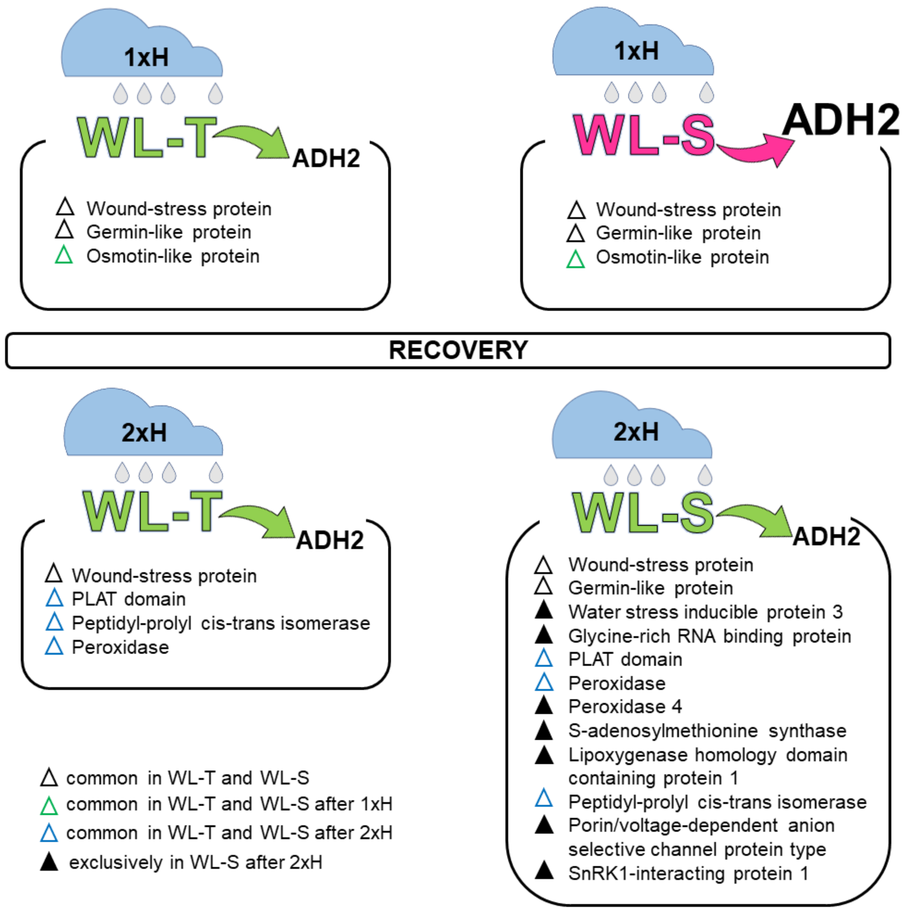 Cells 11 00500 g009 Cells 11 00500 g009