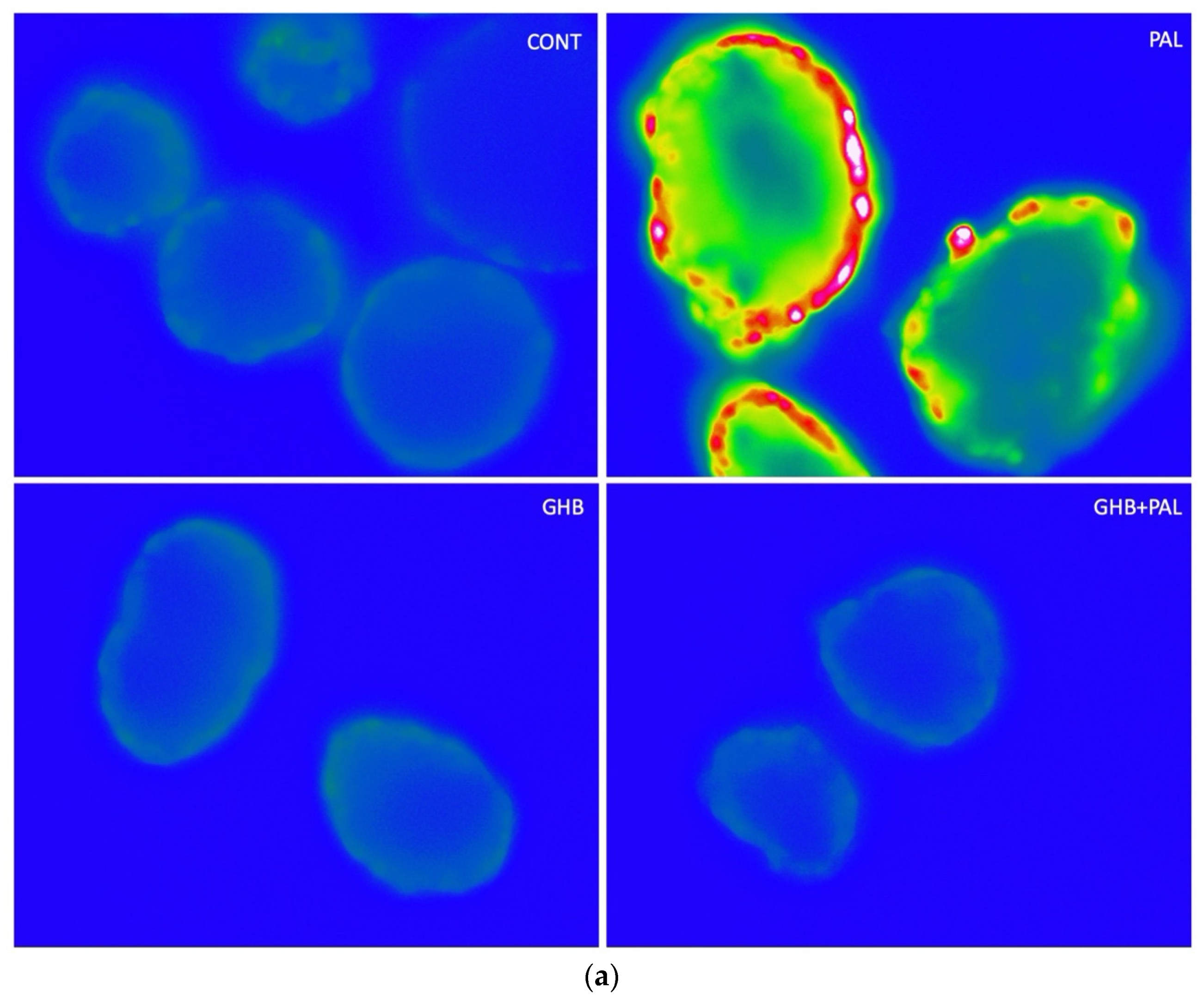 Cells 11 00545 g002a