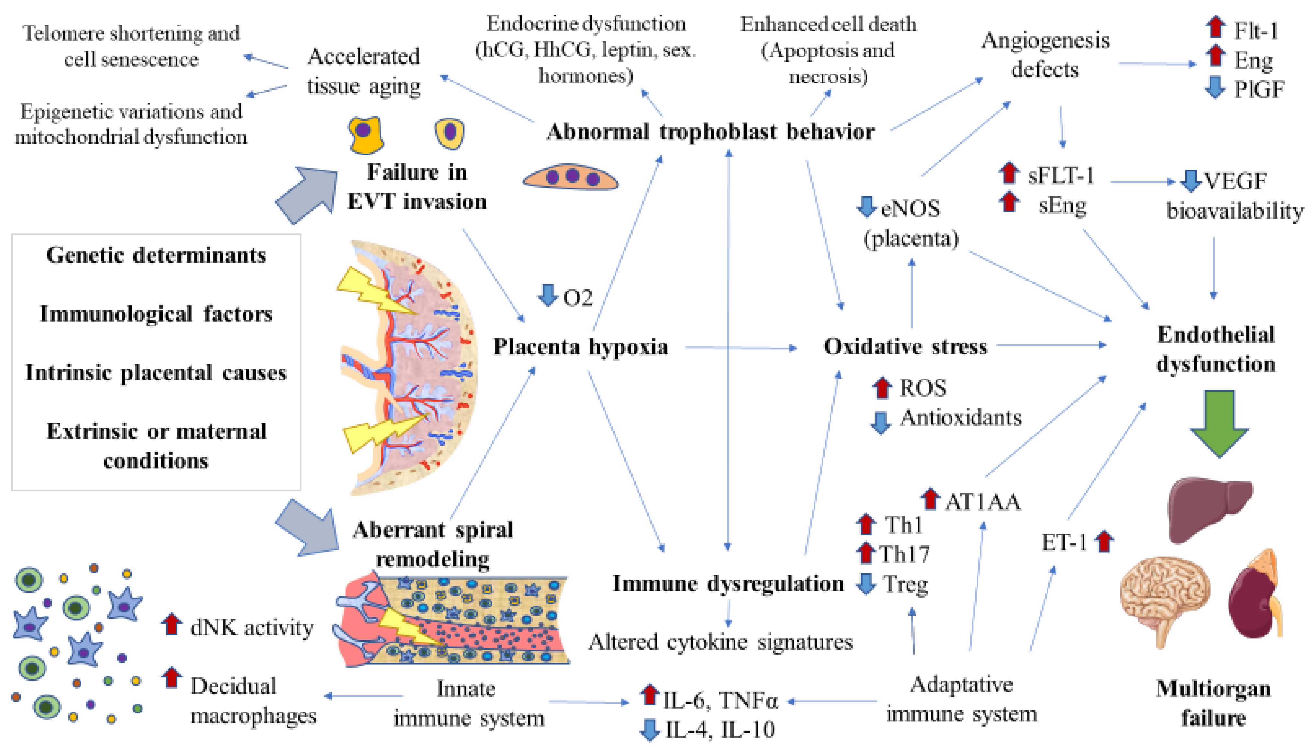 Cells 11 00568 g002 Cells 11 00568 g002