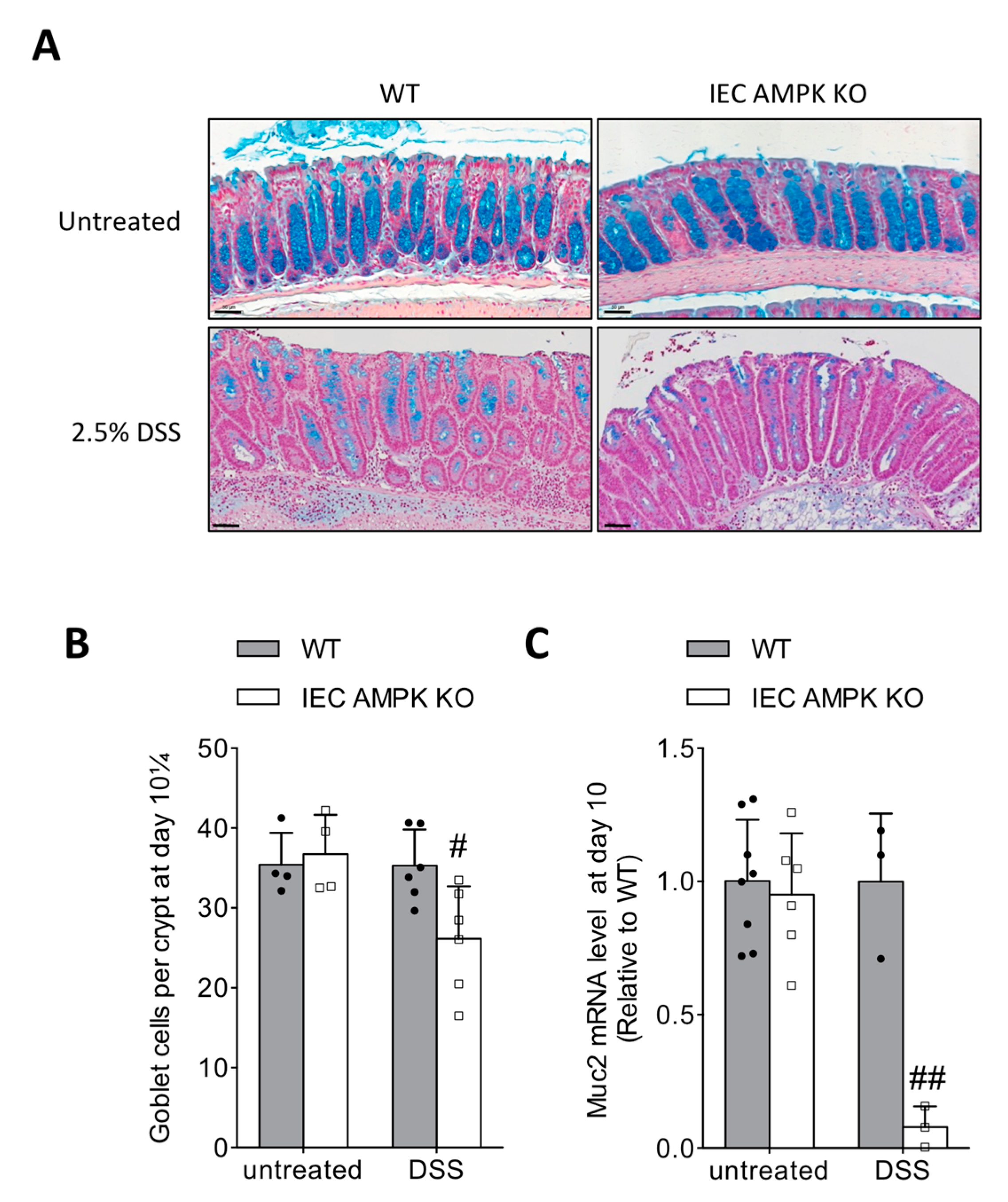 Cells 11 00590 g005 Cells 11 00590 g005