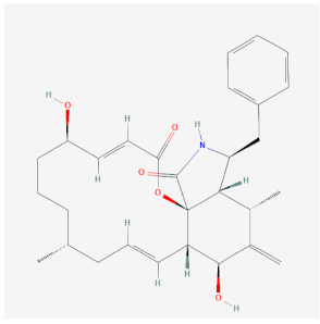Cells 11 00603 i001 Cells 11 00603 i001