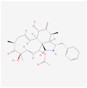 Cells 11 00603 i002 Cells 11 00603 i002