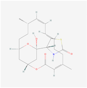Cells 11 00603 i004 Cells 11 00603 i004