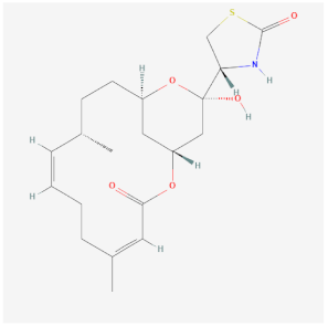 Cells 11 00603 i005 Cells 11 00603 i005