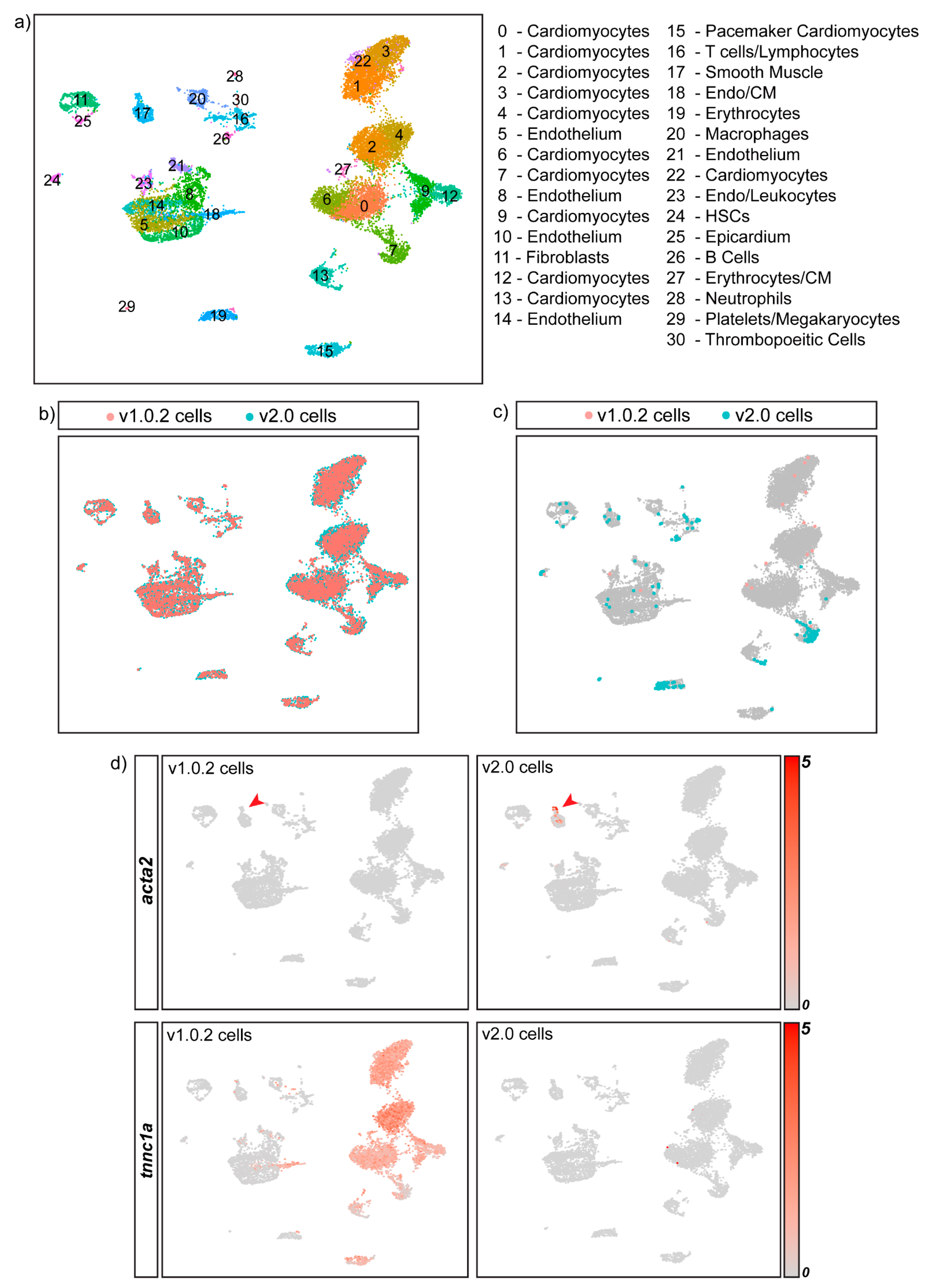 Cells 11 00608 g005a