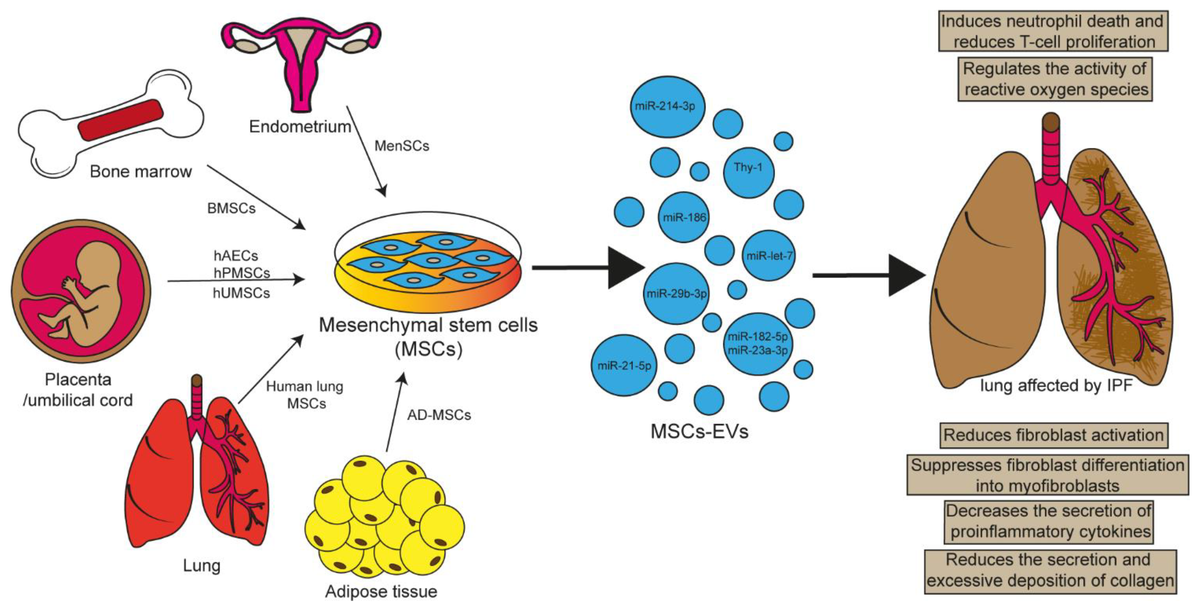 Cells 11 00630 g003 Cells 11 00630 g003