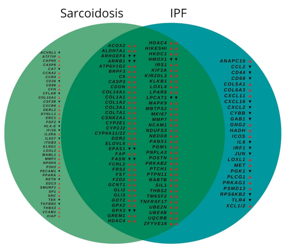Cells 11 00664 g002 Cells 11 00664 g002