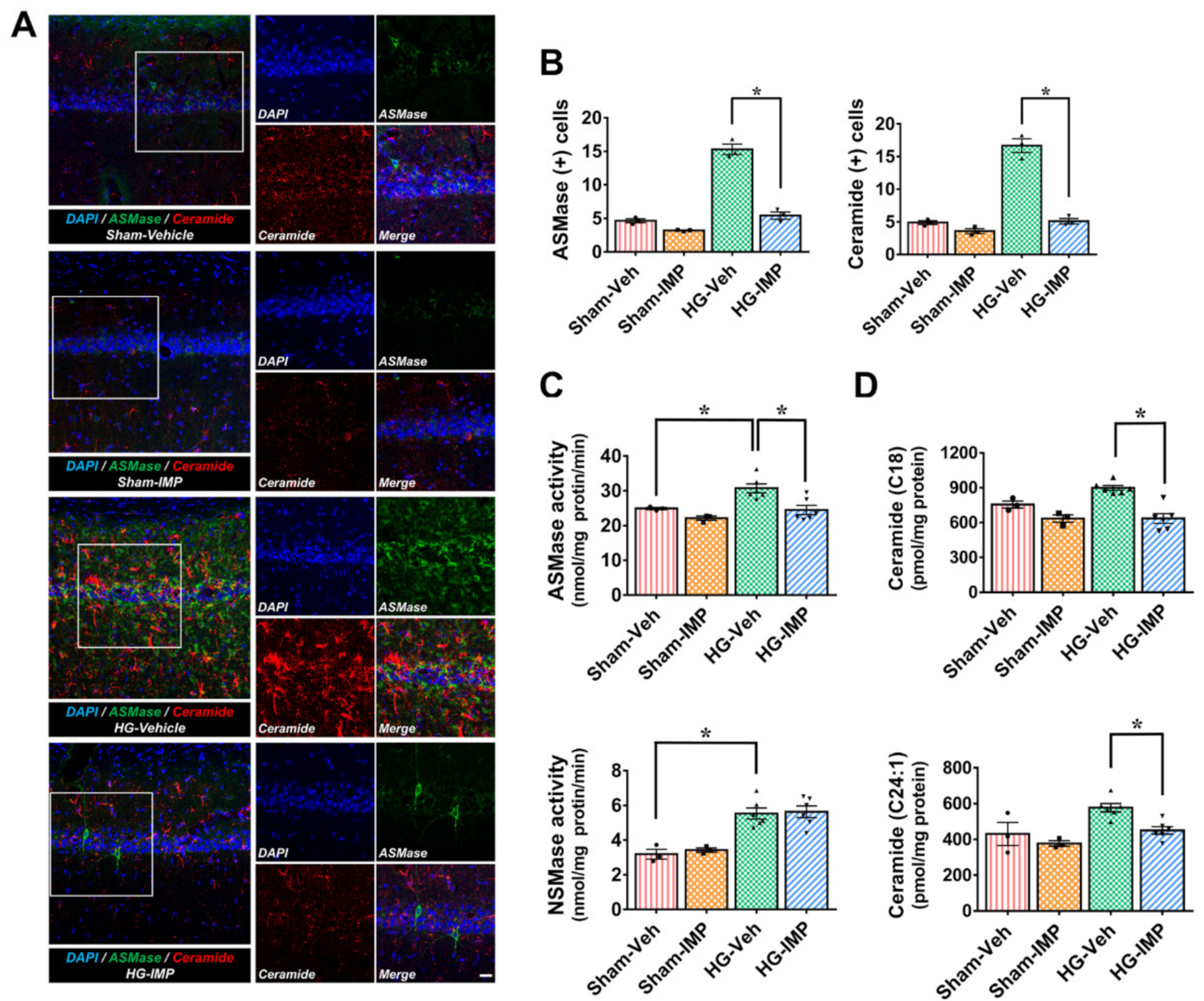 Cells 11 00667 g001 Cells 11 00667 g001