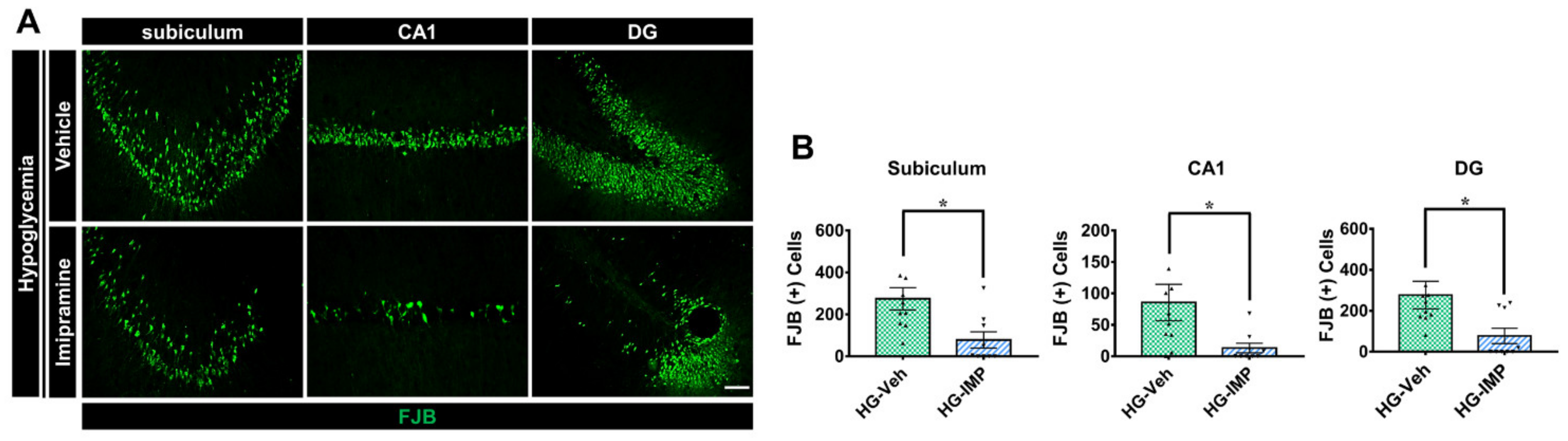 Cells 11 00667 g002 Cells 11 00667 g002