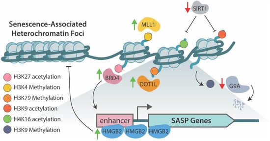 Cells 11 00672 g002 550