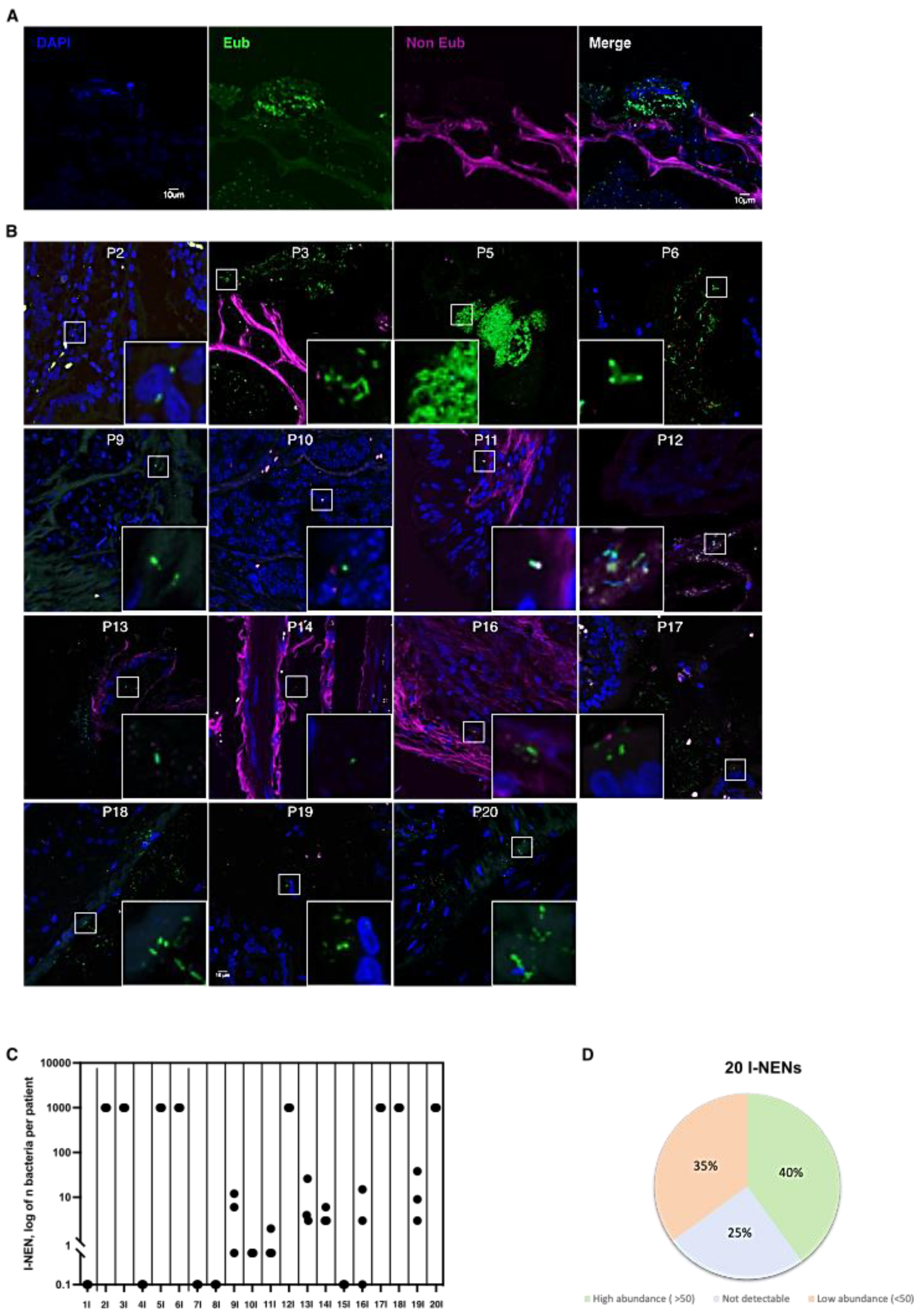 Cells 11 00692 g001 Cells 11 00692 g001