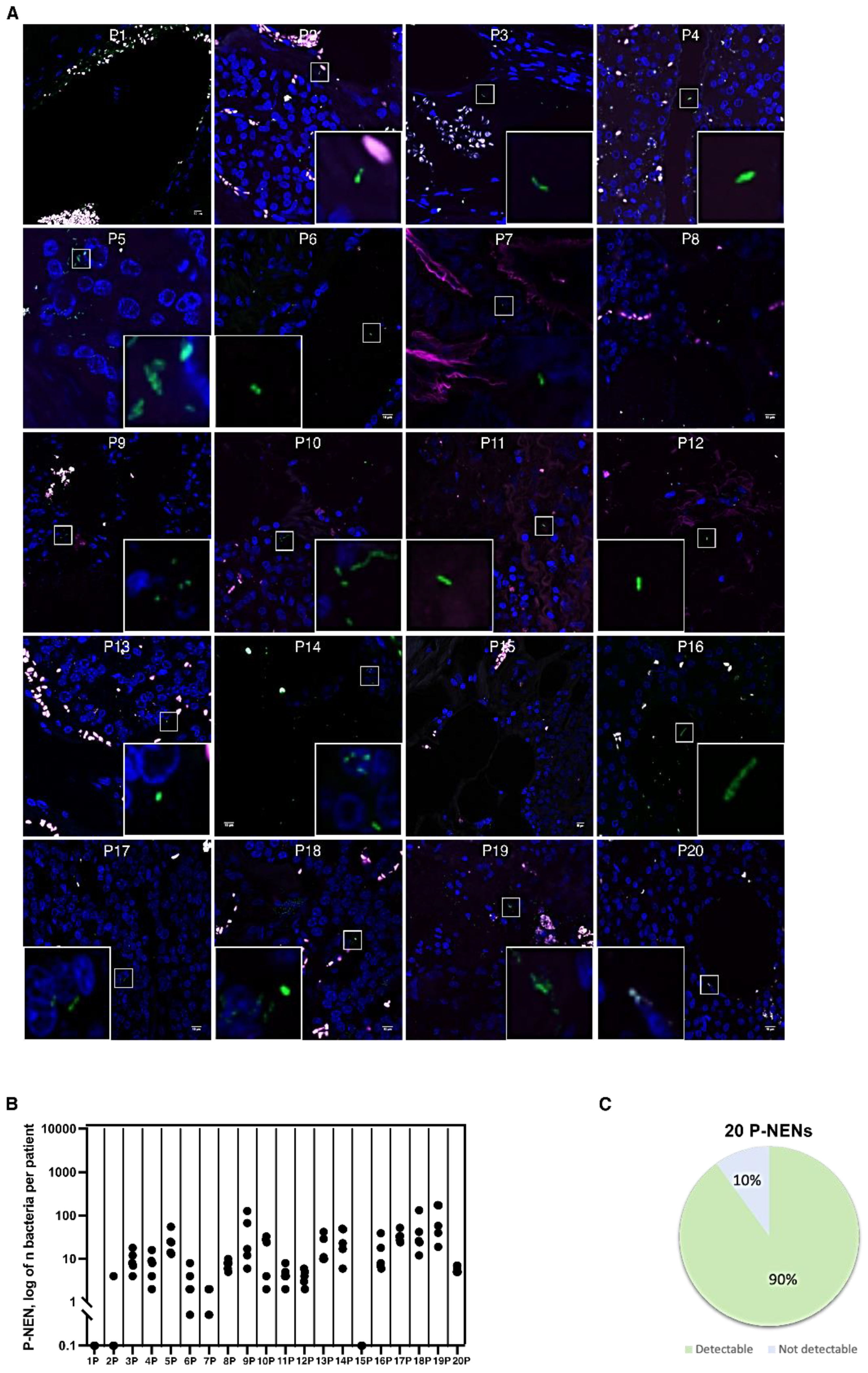 Cells 11 00692 g002 Cells 11 00692 g002