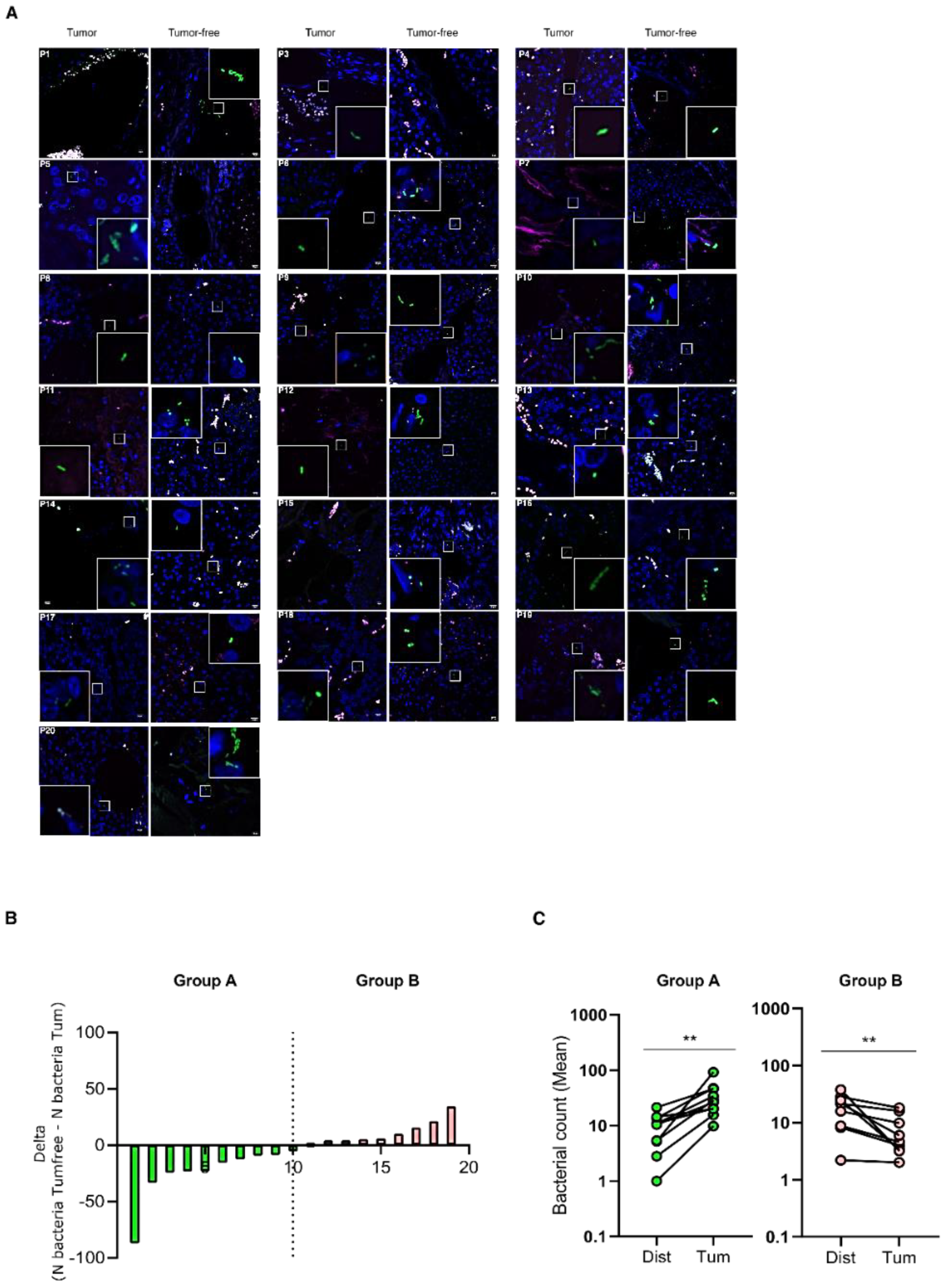 Cells 11 00692 g003 Cells 11 00692 g003