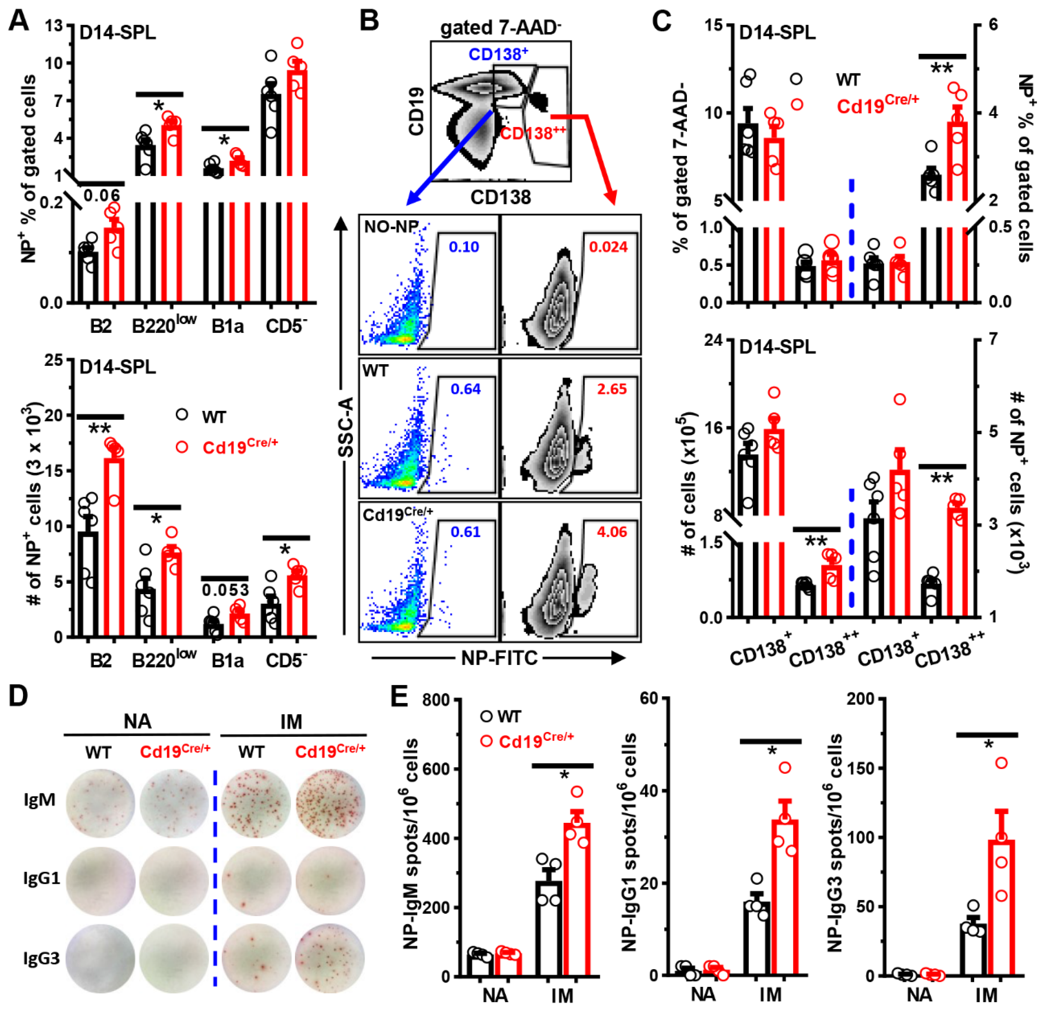 Cells 11 00700 g005 Cells 11 00700 g005