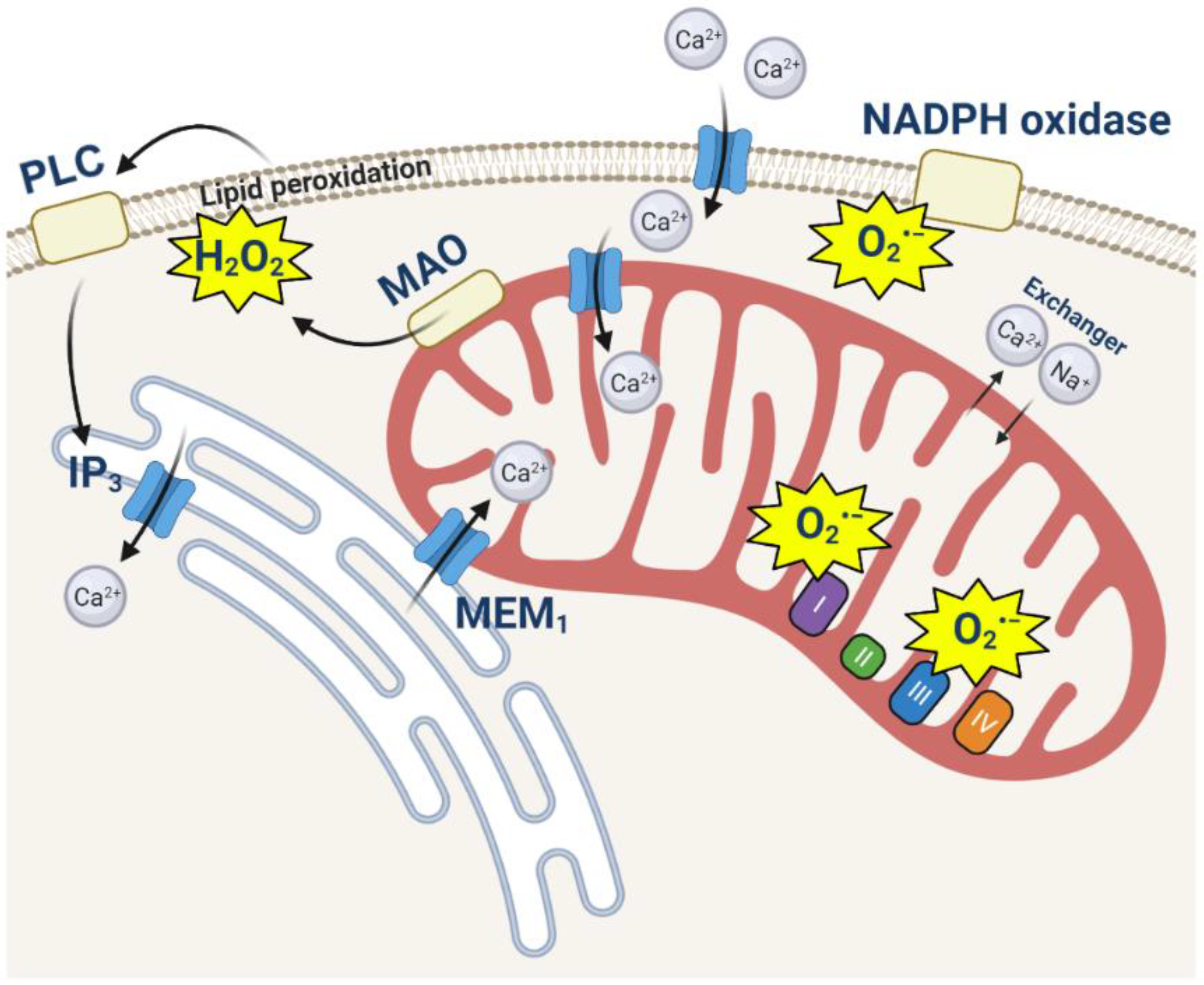 Cells 11 00706 g001 Cells 11 00706 g001