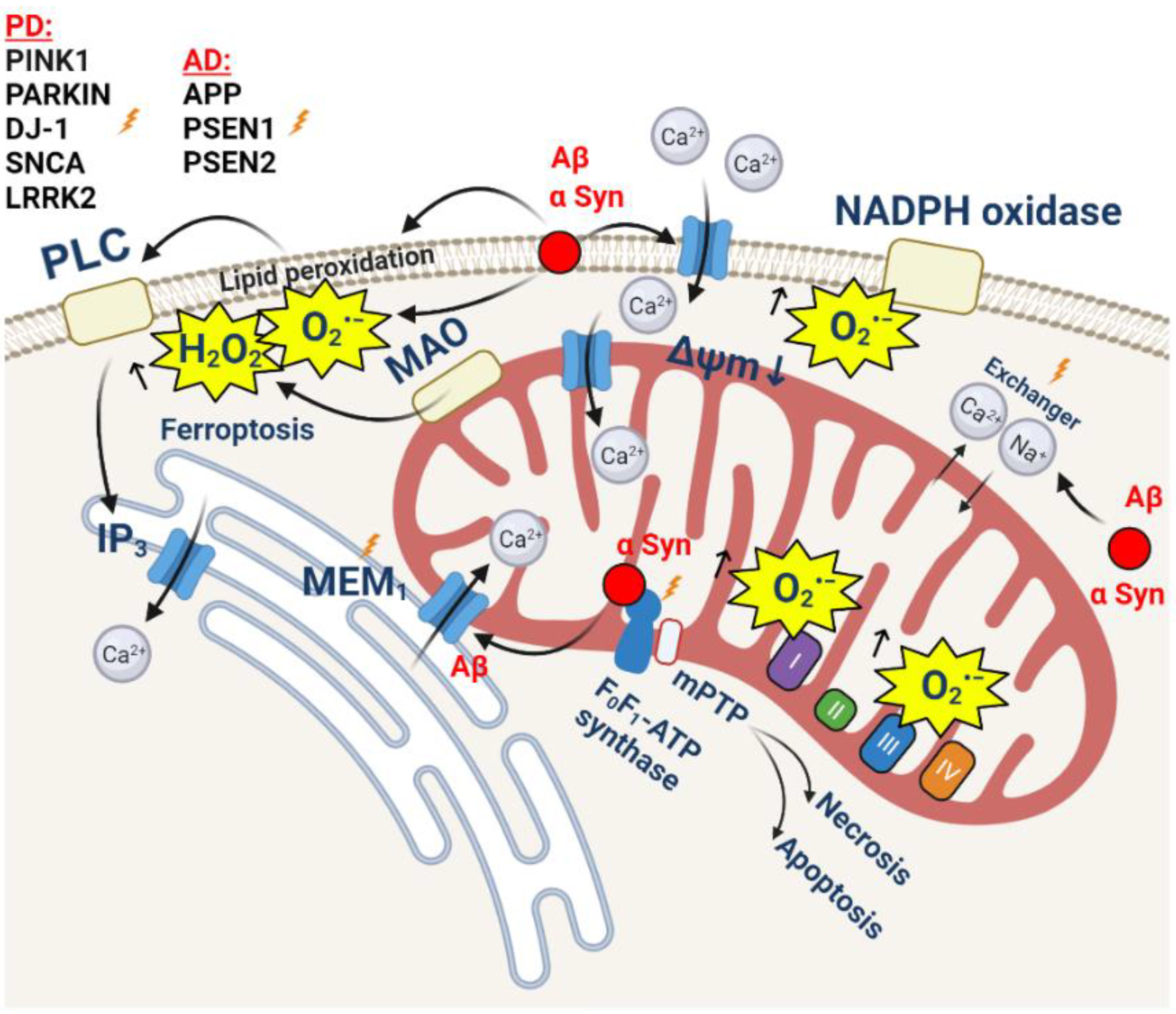 Cells 11 00706 g002 Cells 11 00706 g002