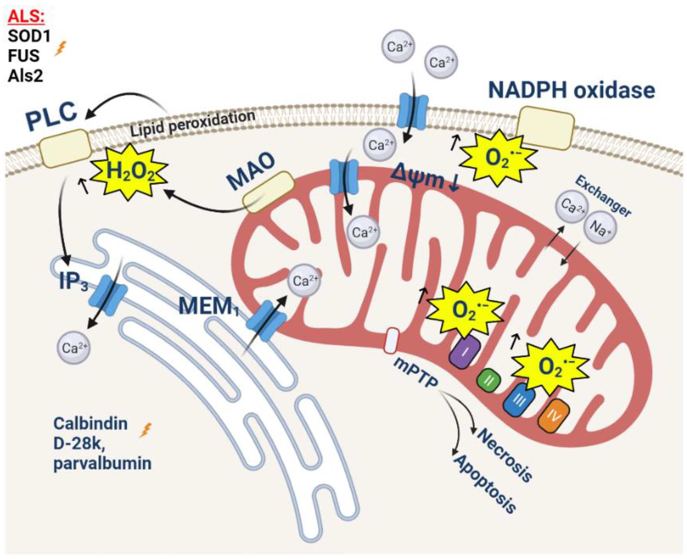 Cells 11 00706 g003 Cells 11 00706 g003