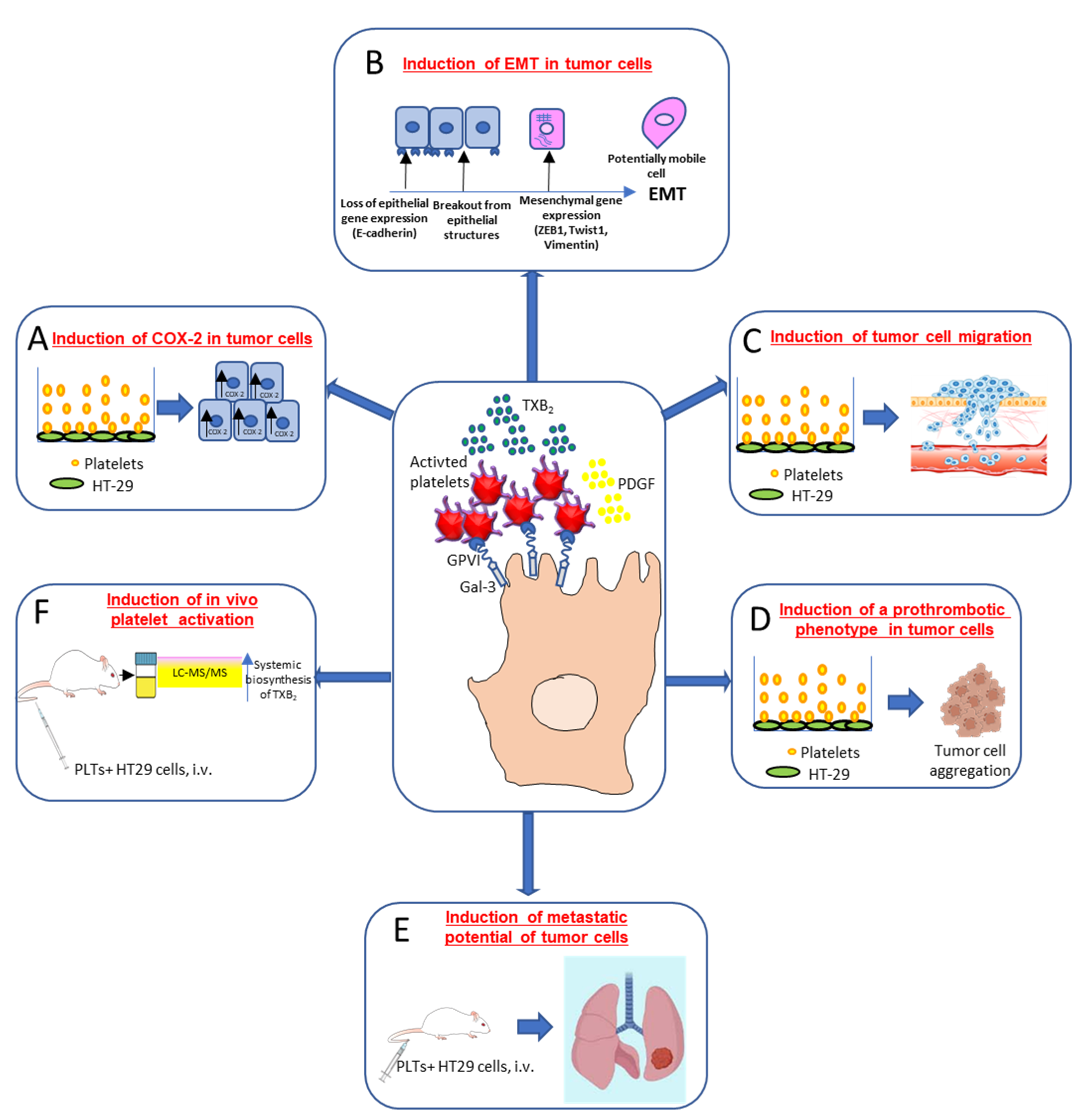 Cells 11 00725 g003 Cells 11 00725 g003