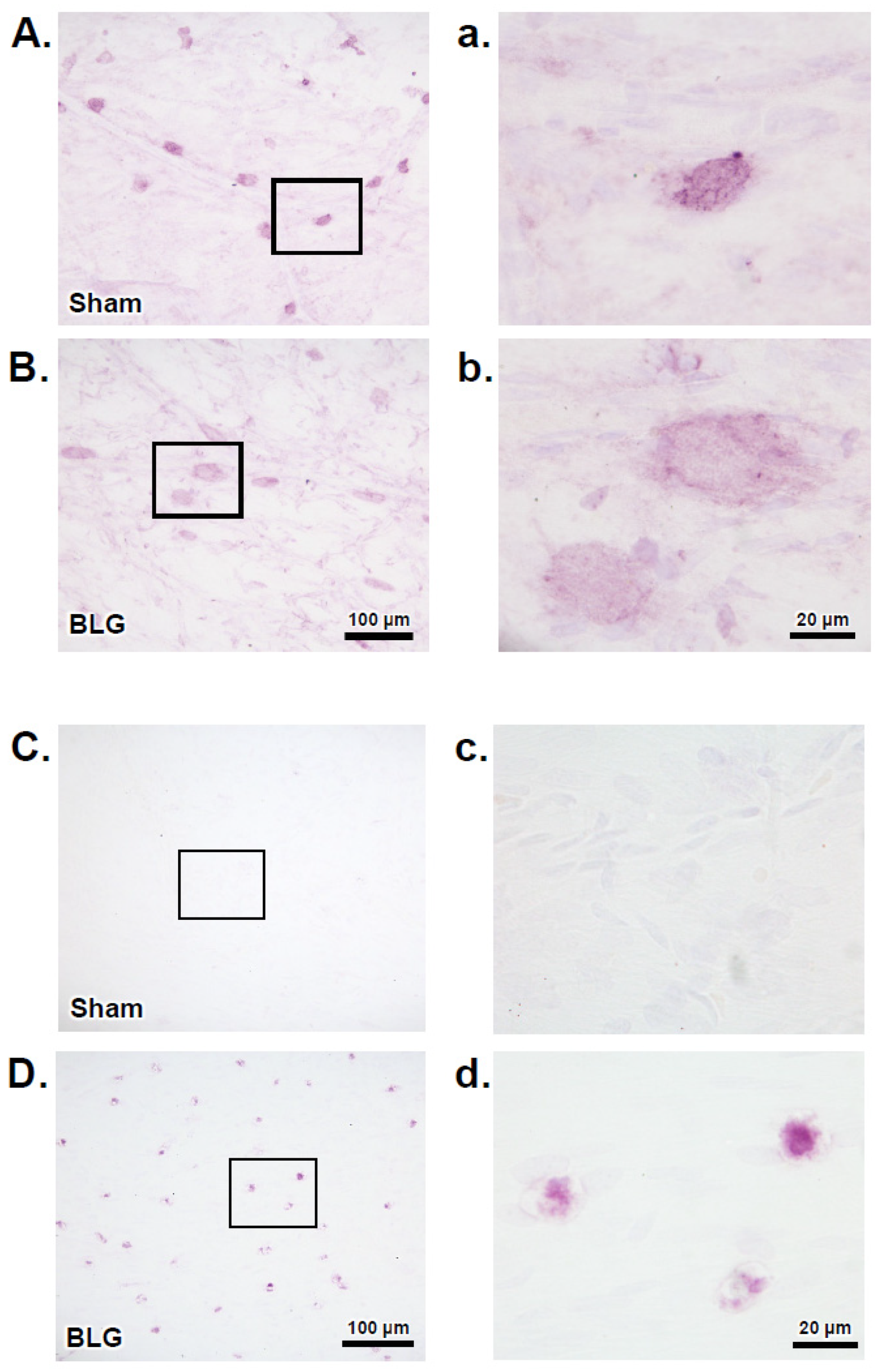 Cells 11 00738 g008 Cells 11 00738 g008