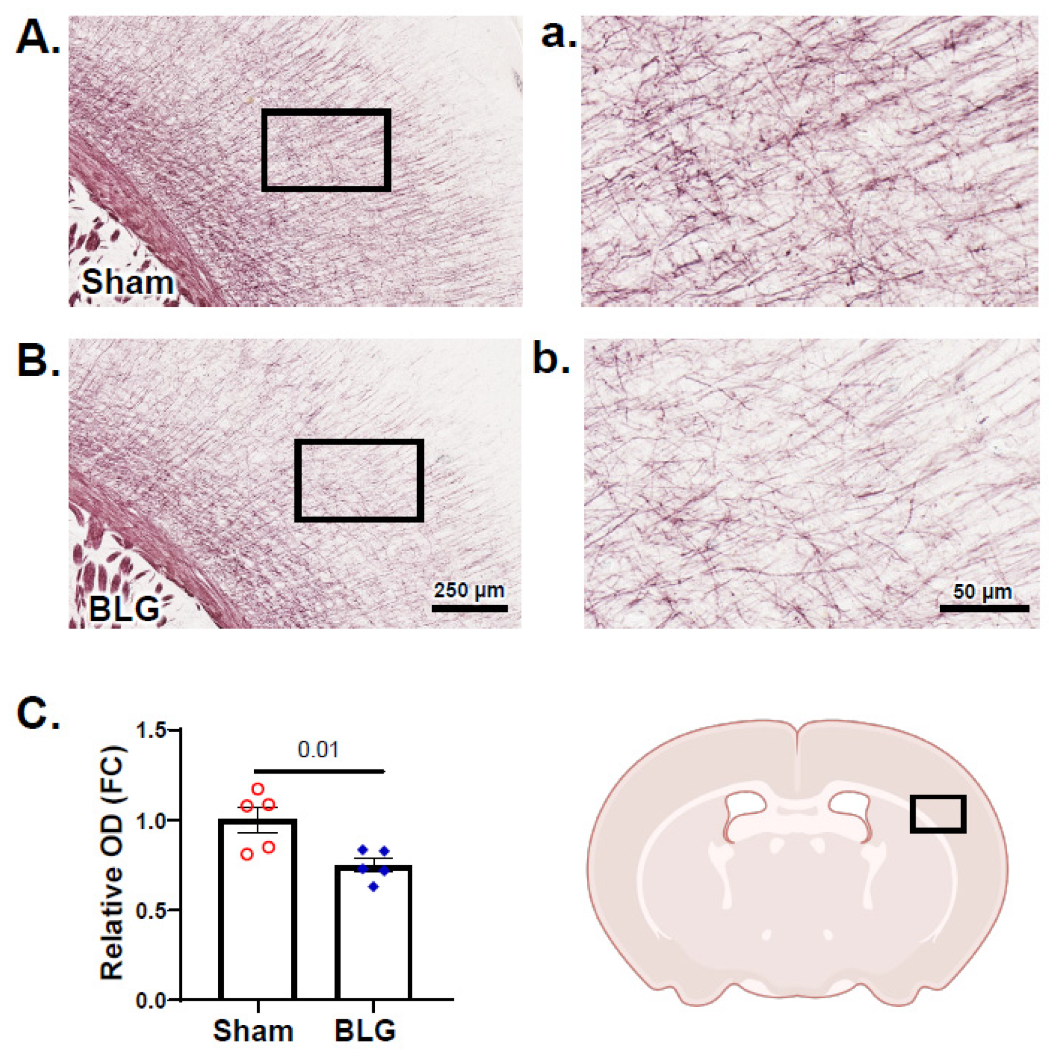 Cells 11 00738 g013 Cells 11 00738 g013