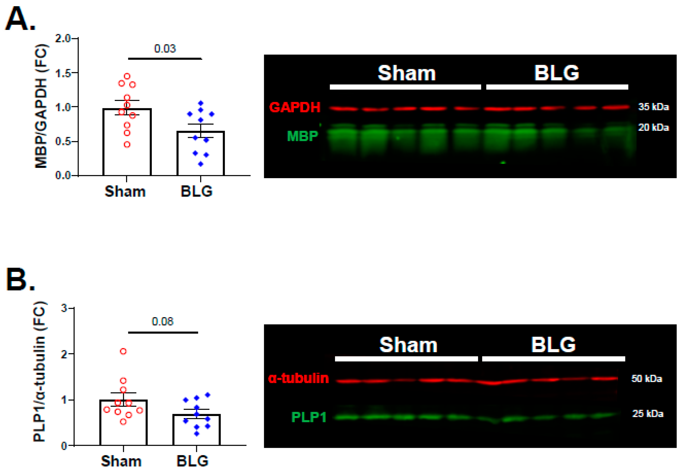 Cells 11 00738 g014 Cells 11 00738 g014