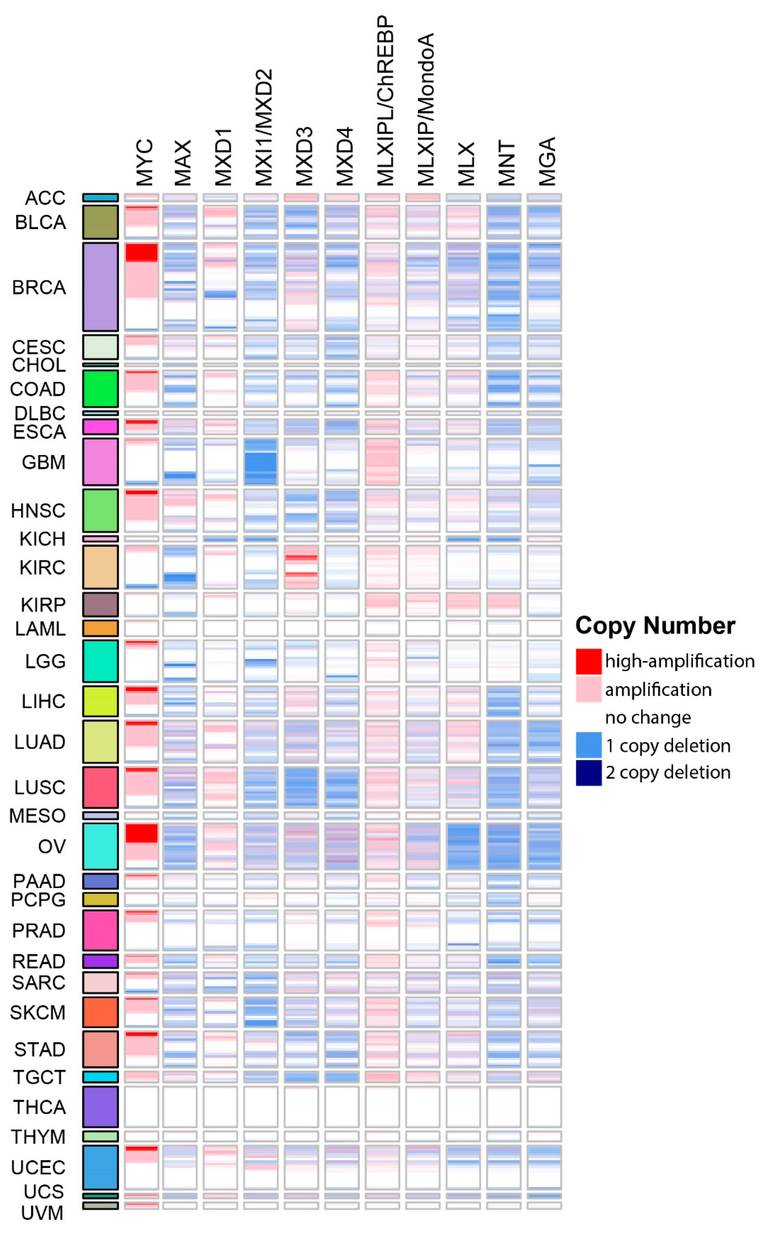 Cells 11 00747 g002 Cells 11 00747 g002