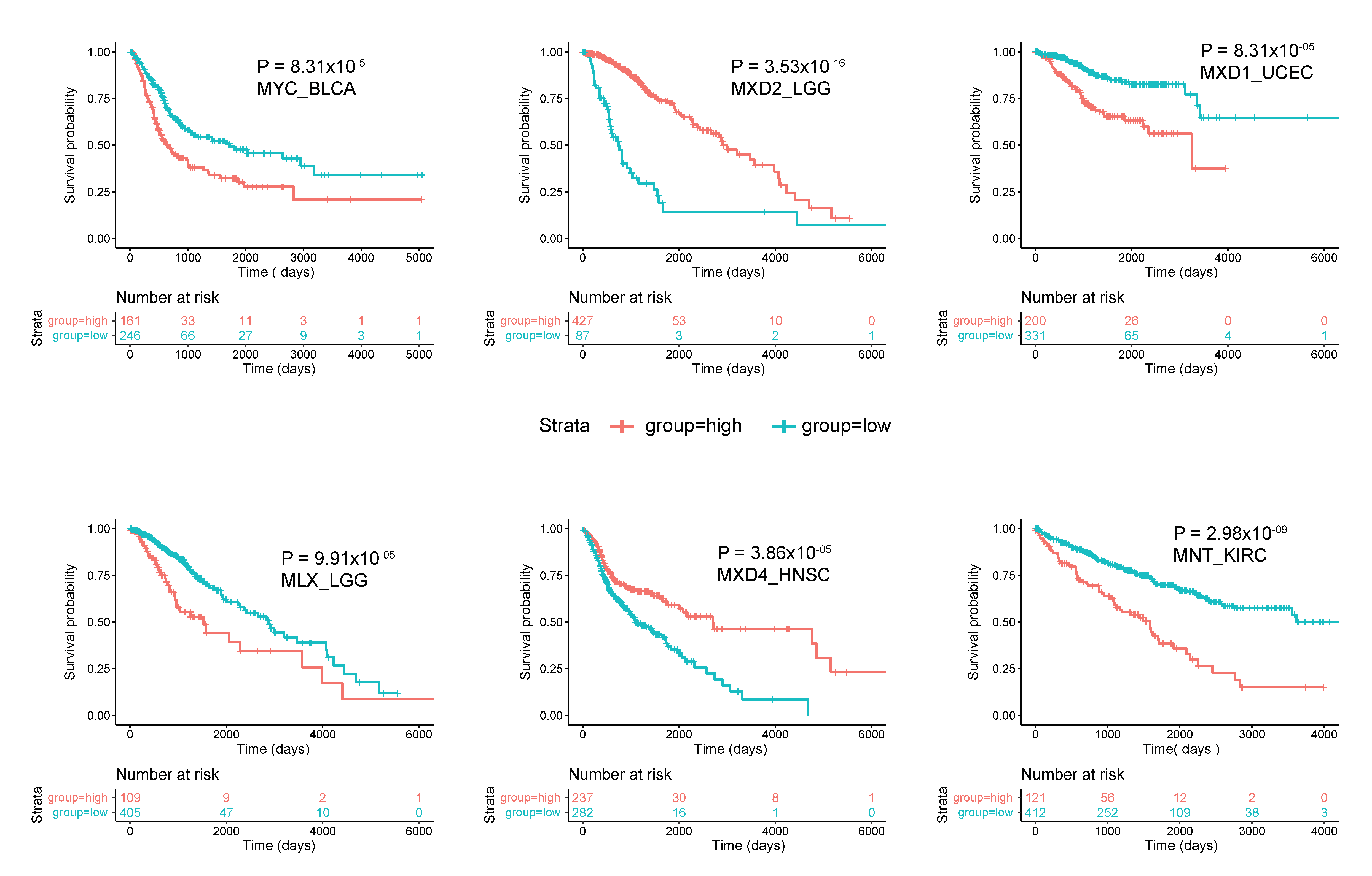 Cells 11 00747 g004 Cells 11 00747 g004