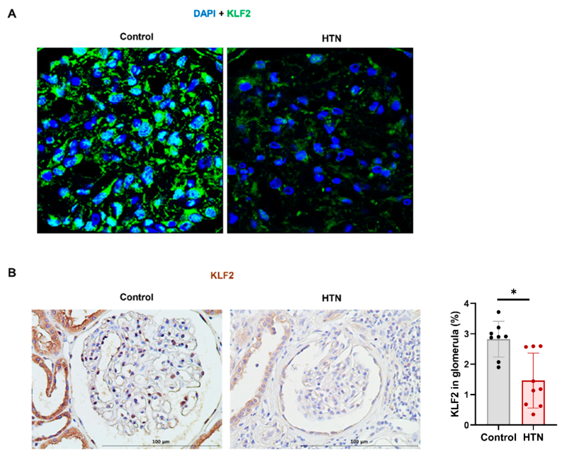 Cells 11 00762 g006 Cells 11 00762 g006