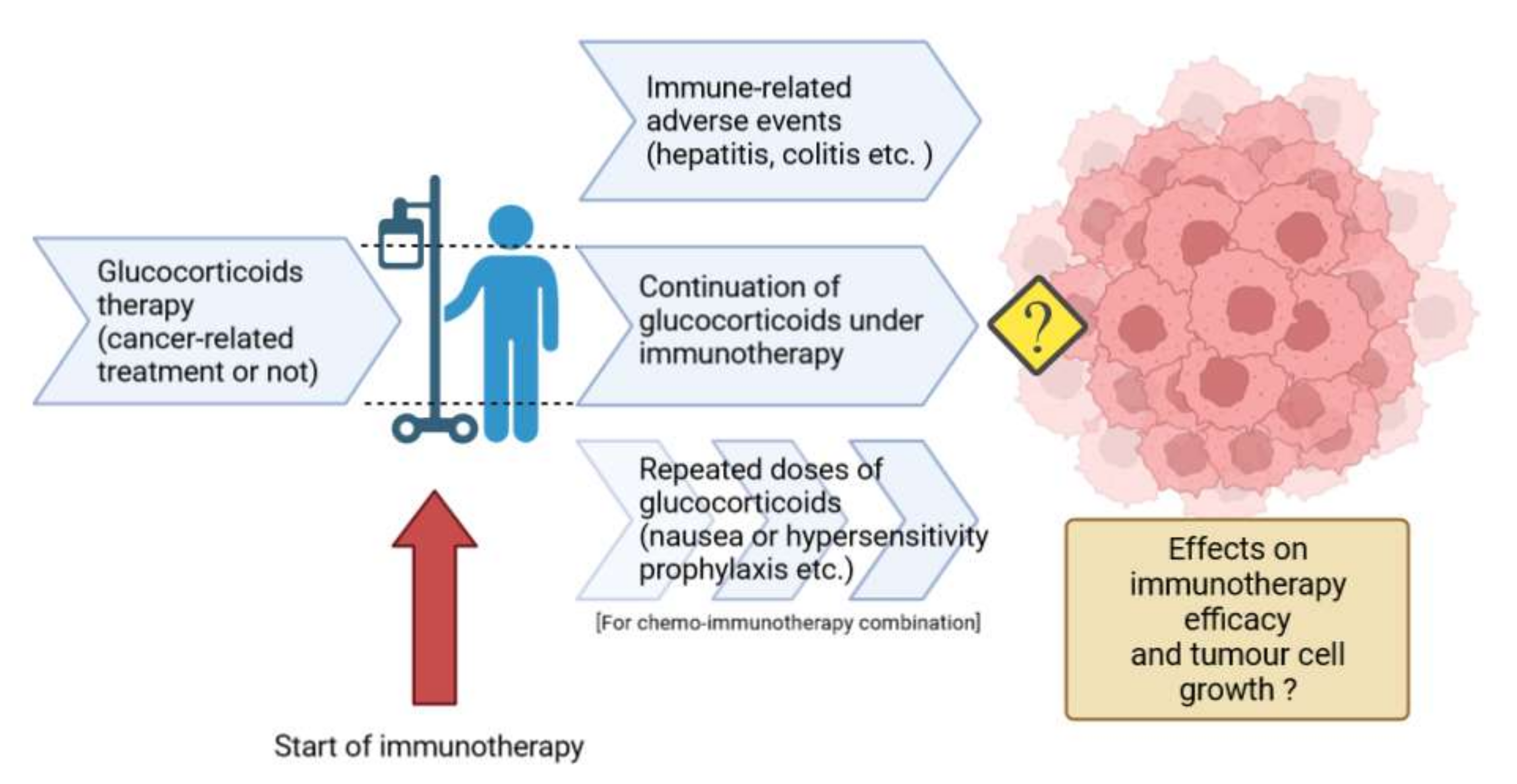 Cells 11 00770 g004 Cells 11 00770 g004