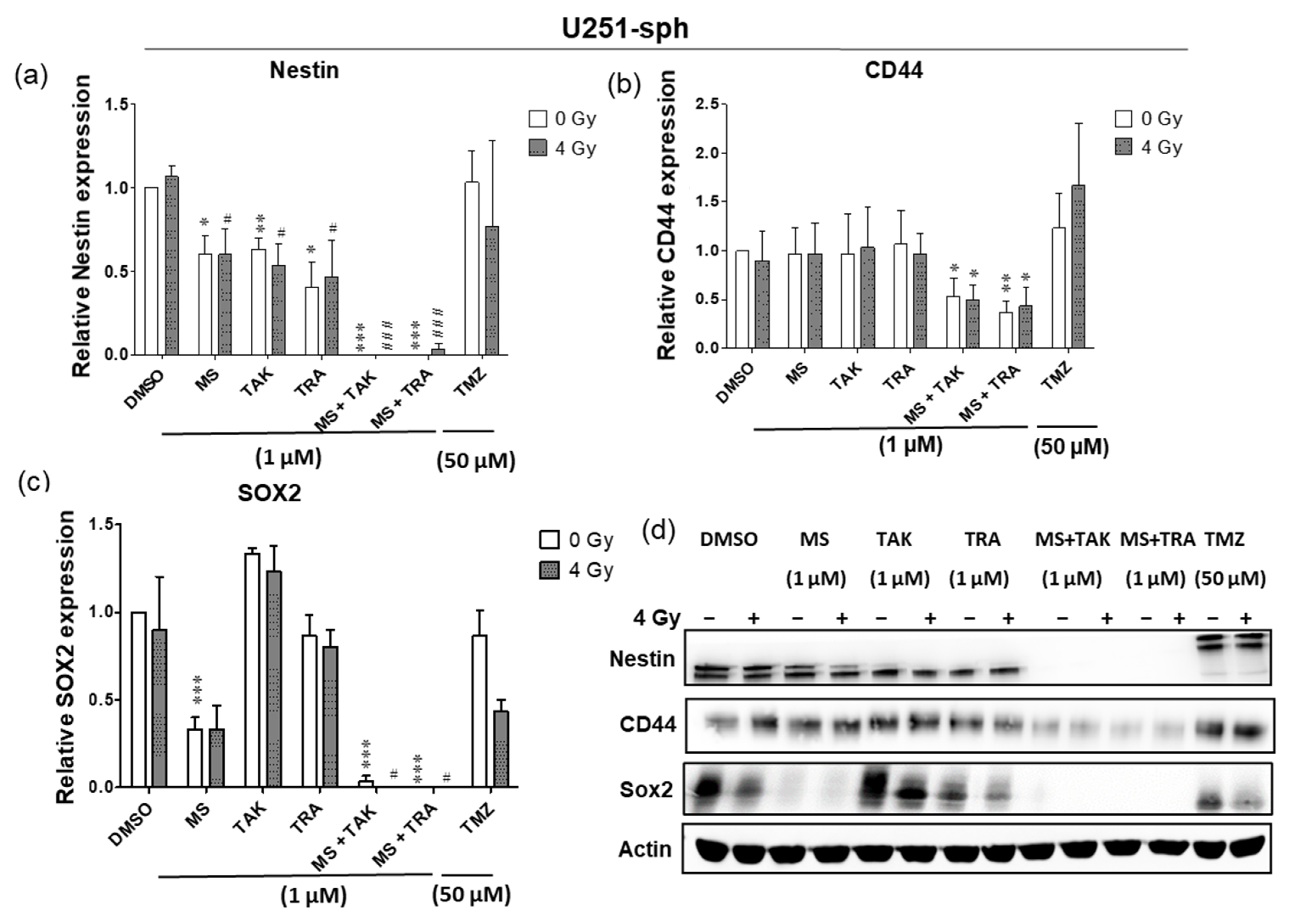 Cells 11 00775 g004a Cells 11 00775 g004a