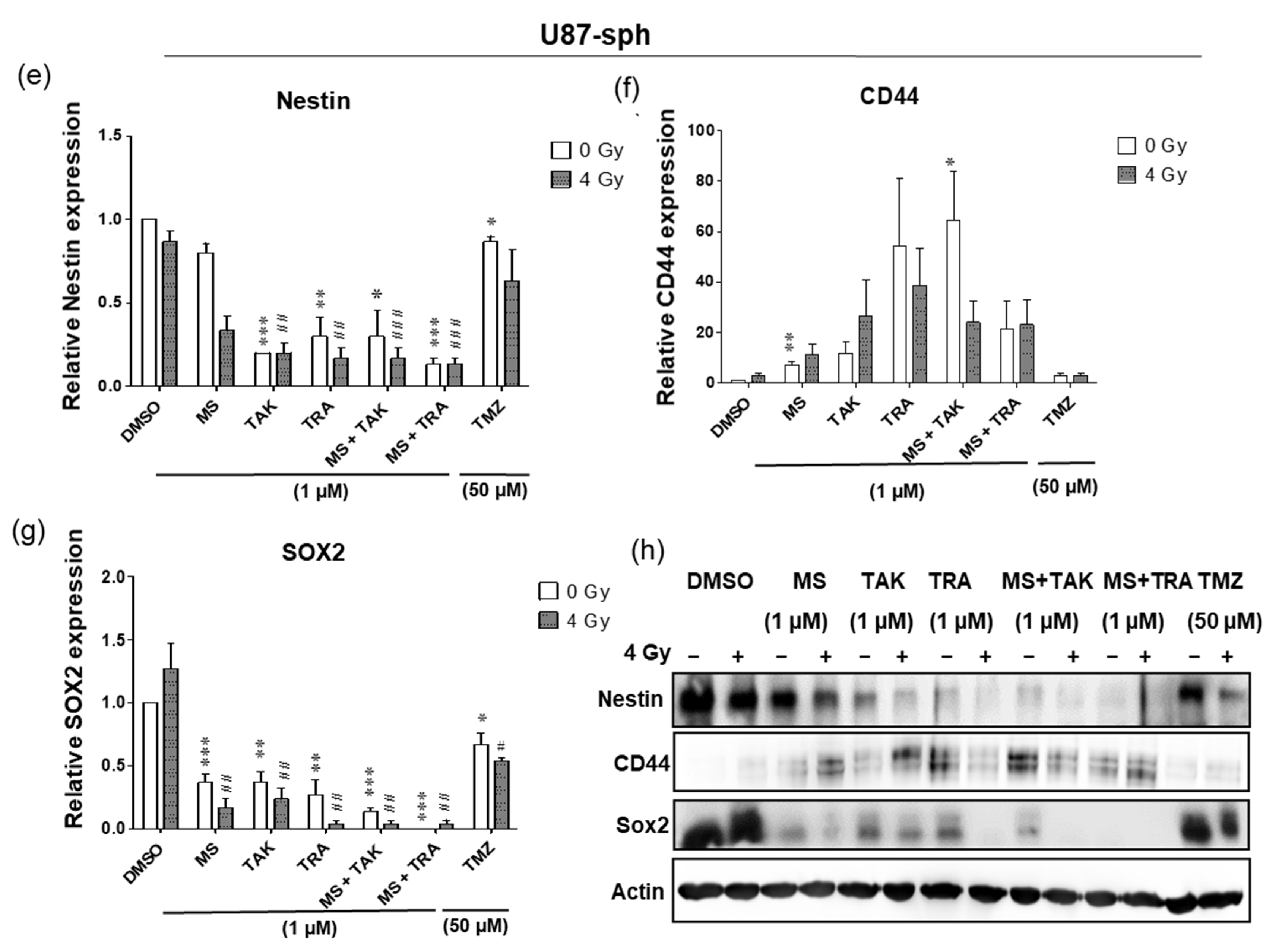 Cells 11 00775 g004b Cells 11 00775 g004b