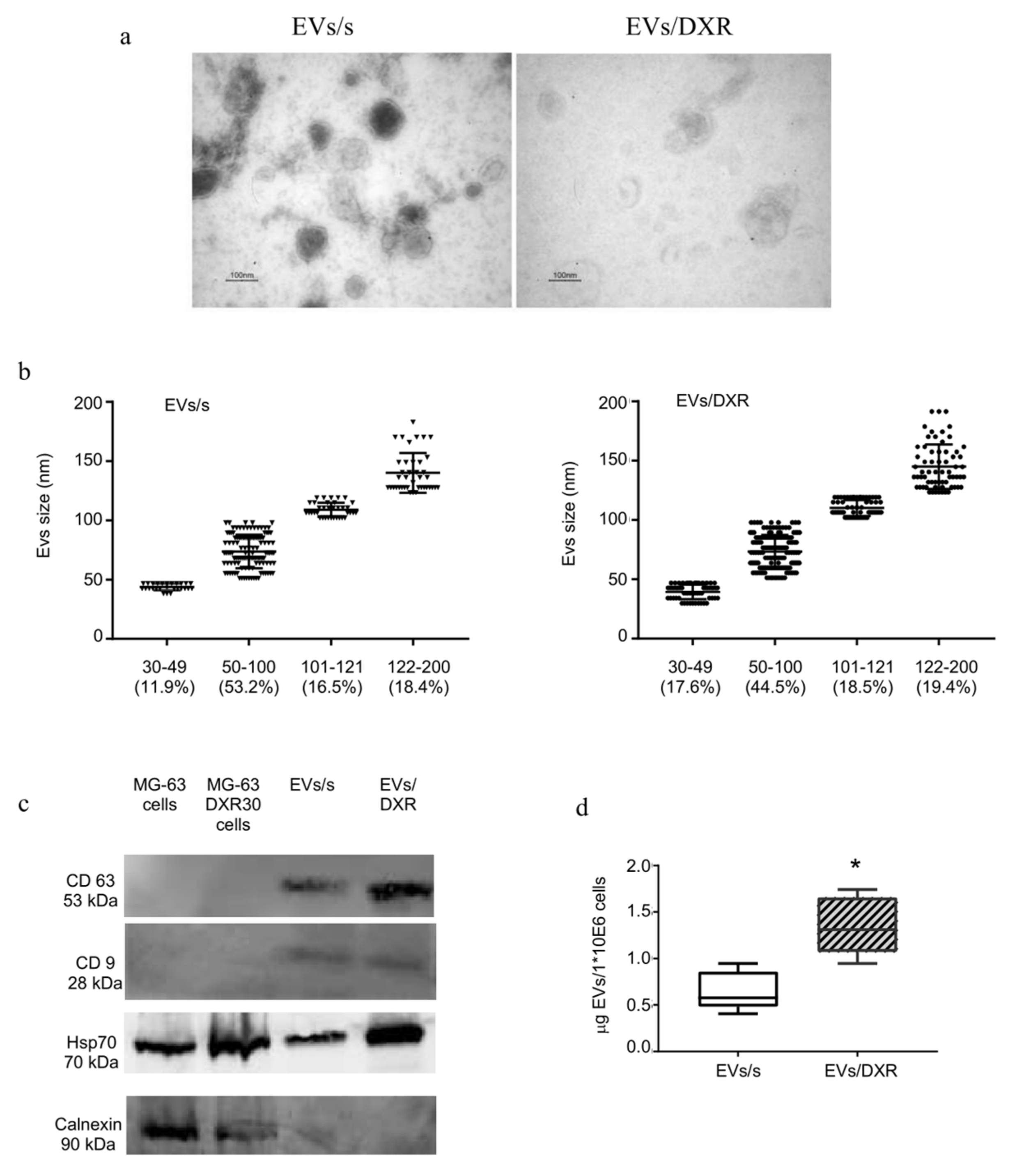 Cells 11 00778 g001 Cells 11 00778 g001