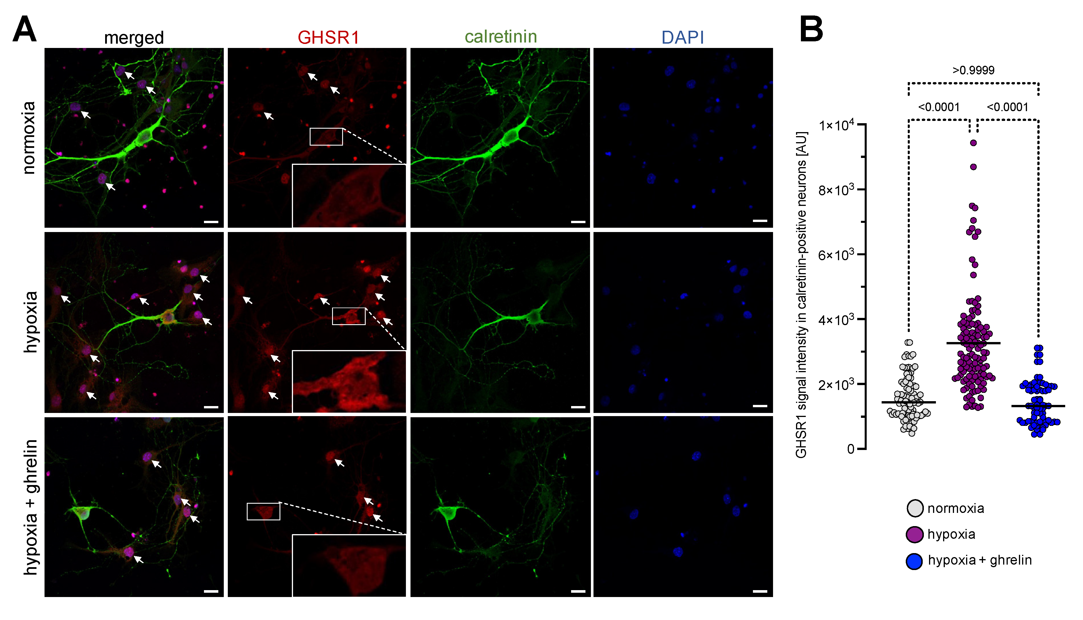 Cells 11 00782 g002 Cells 11 00782 g002