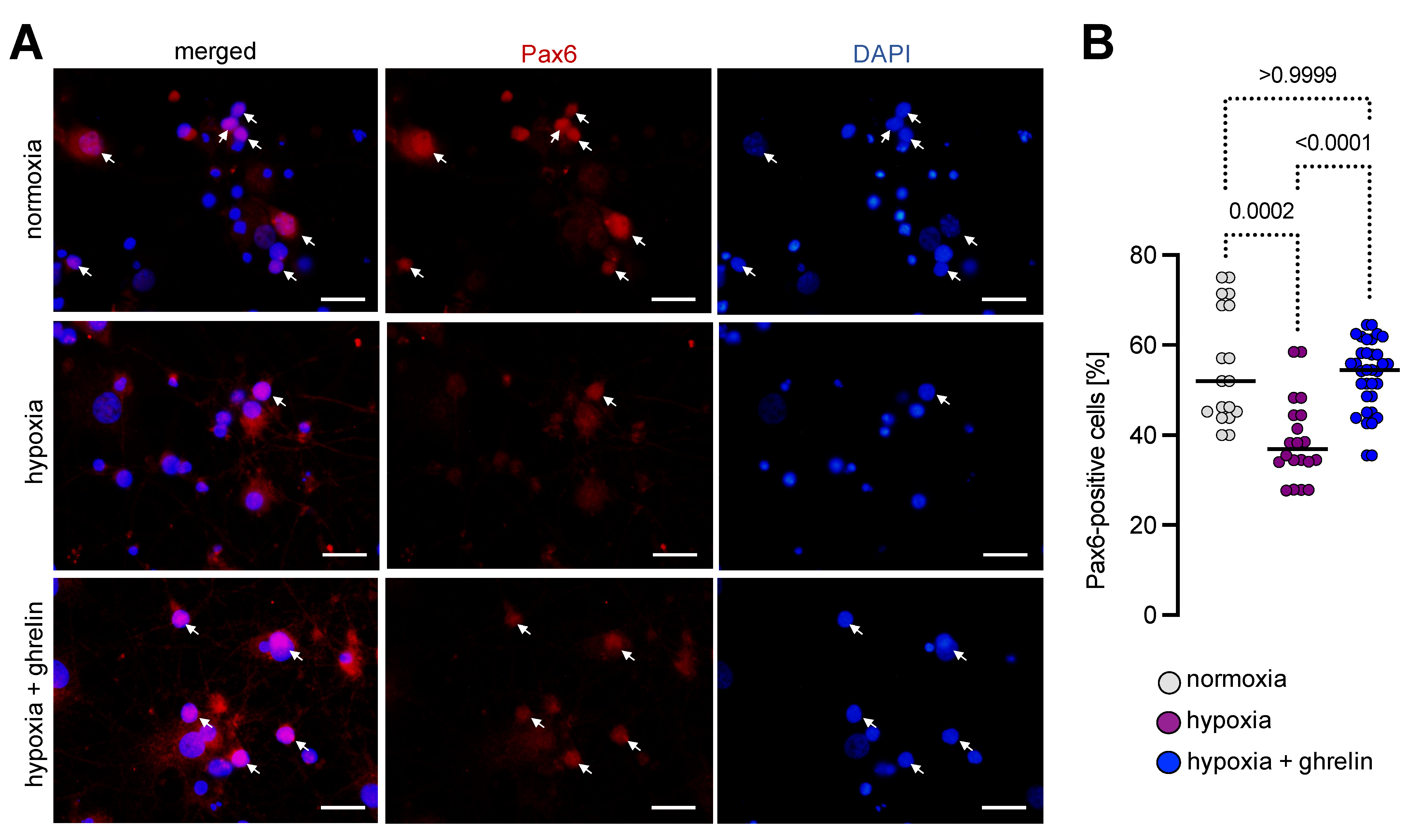 Cells 11 00782 g007 Cells 11 00782 g007