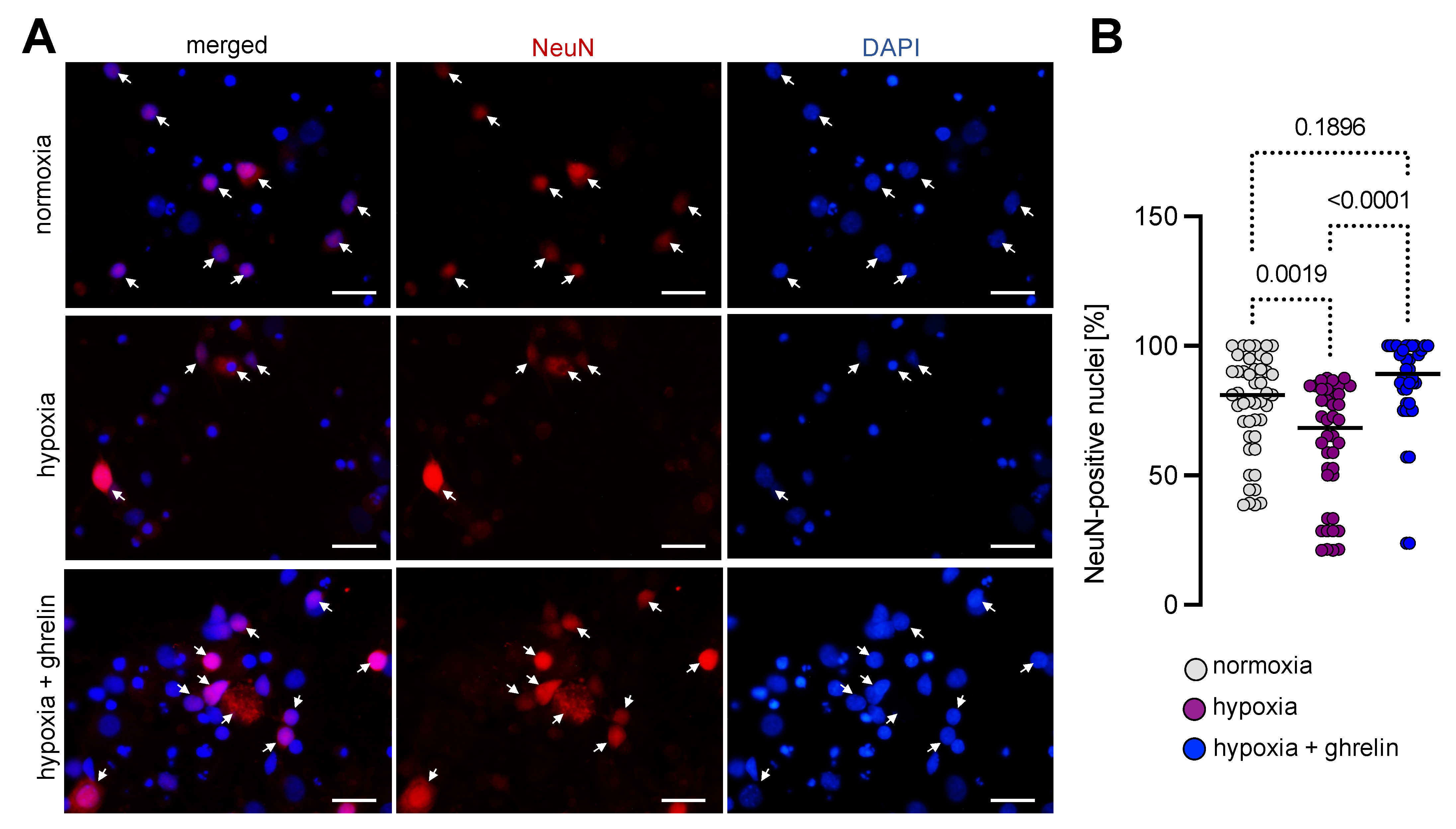 Cells 11 00782 g010 Cells 11 00782 g010
