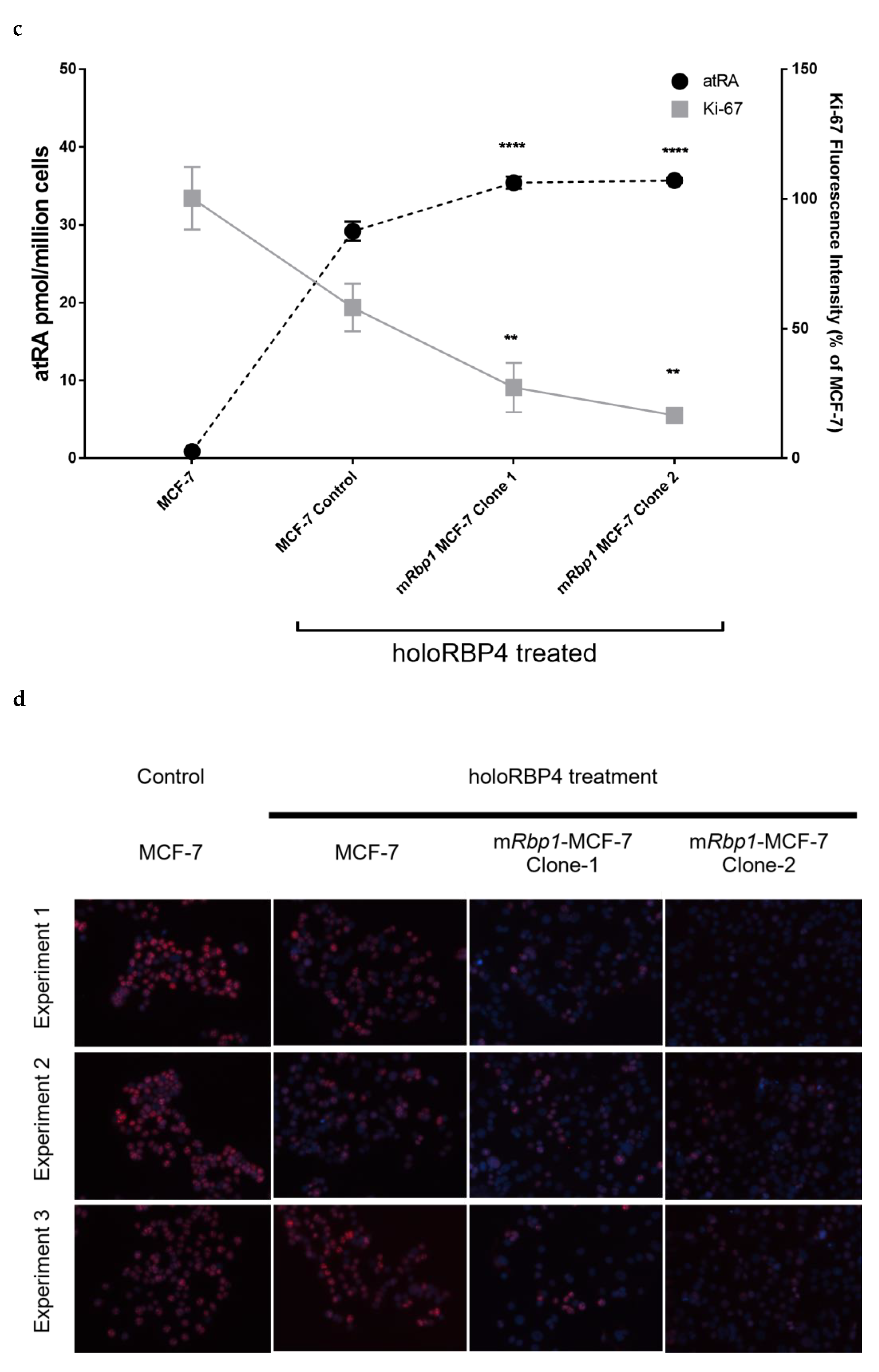 Cells 11 00792 g002b